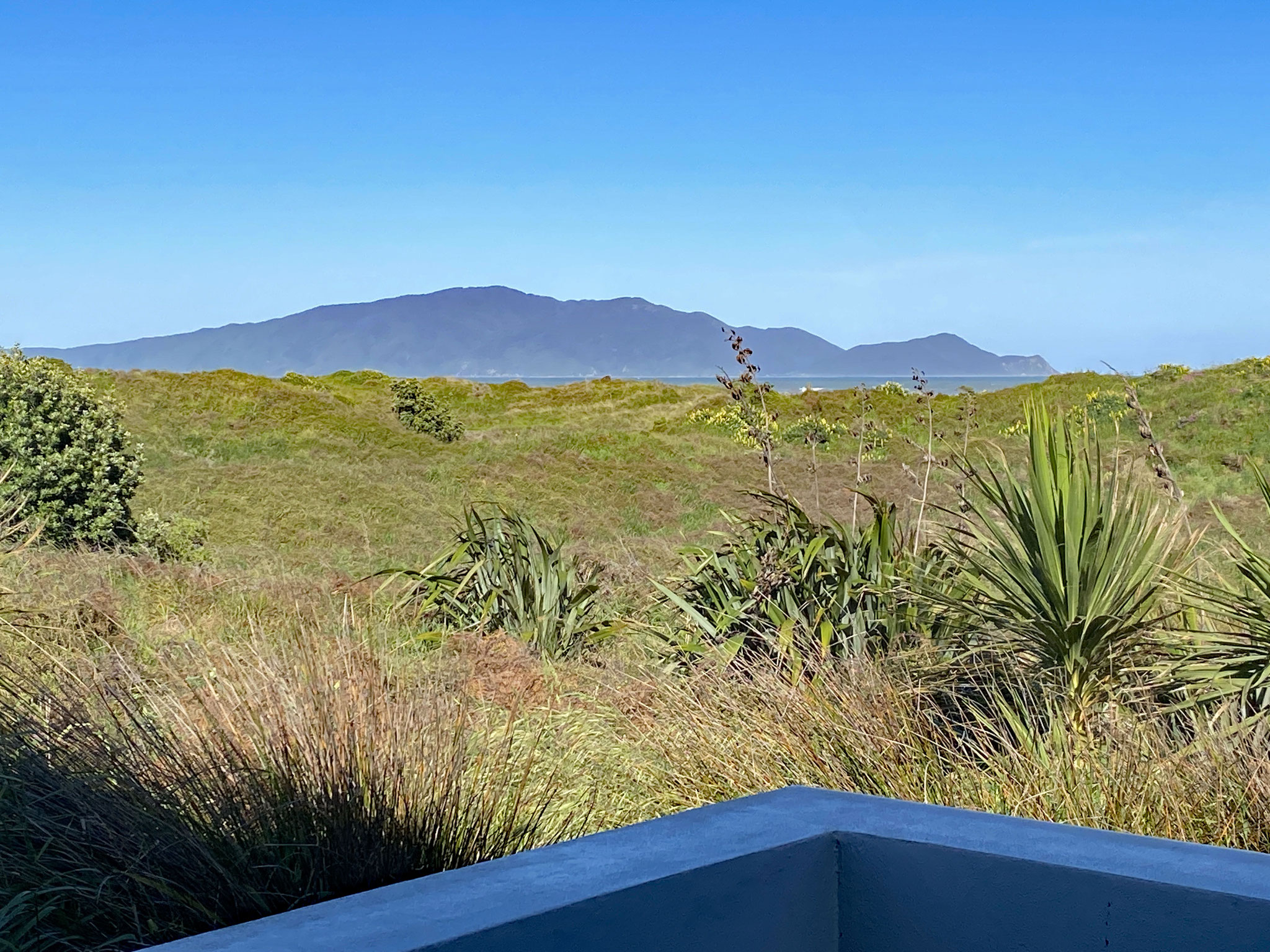 Blick von unserer Terrasse auf die Dünen und Kapiti Island