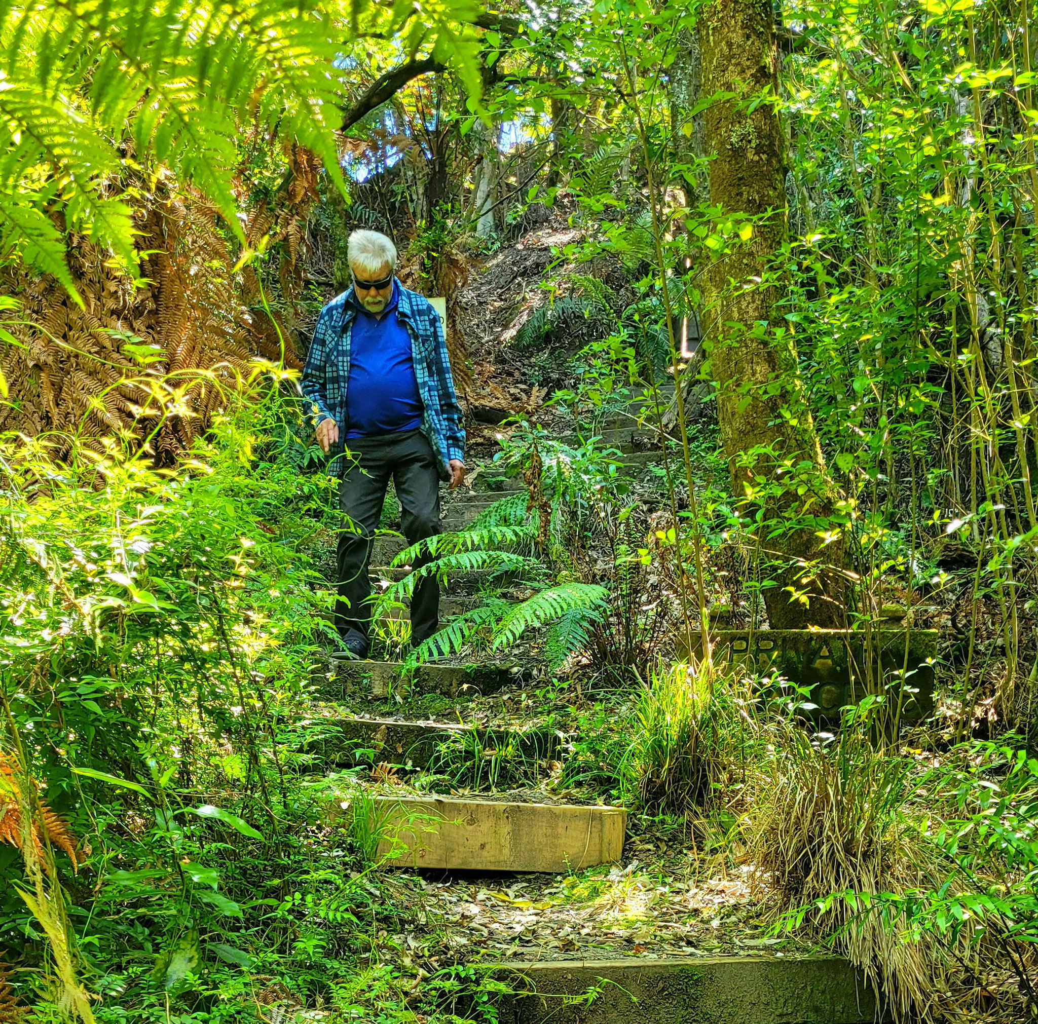 Weg zu den Flat Rocks