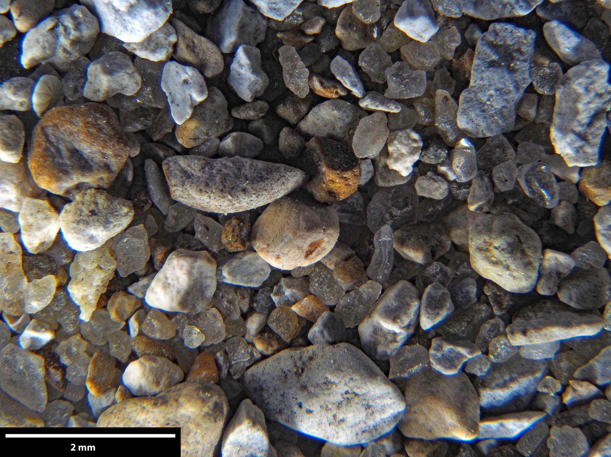 Sand aus New Zealand, Nordinsel, Opononi Beach