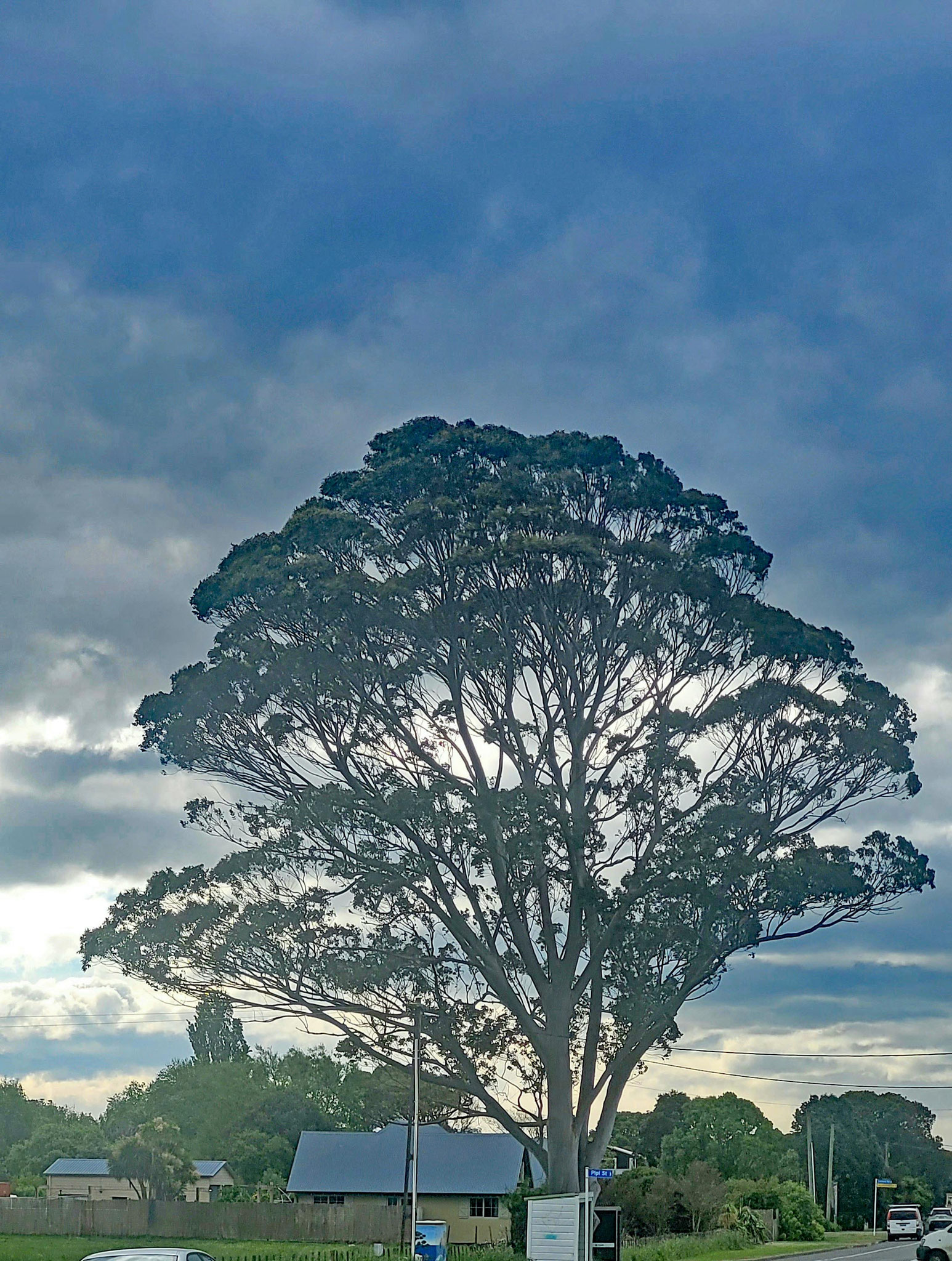 Neben unserem Cottage