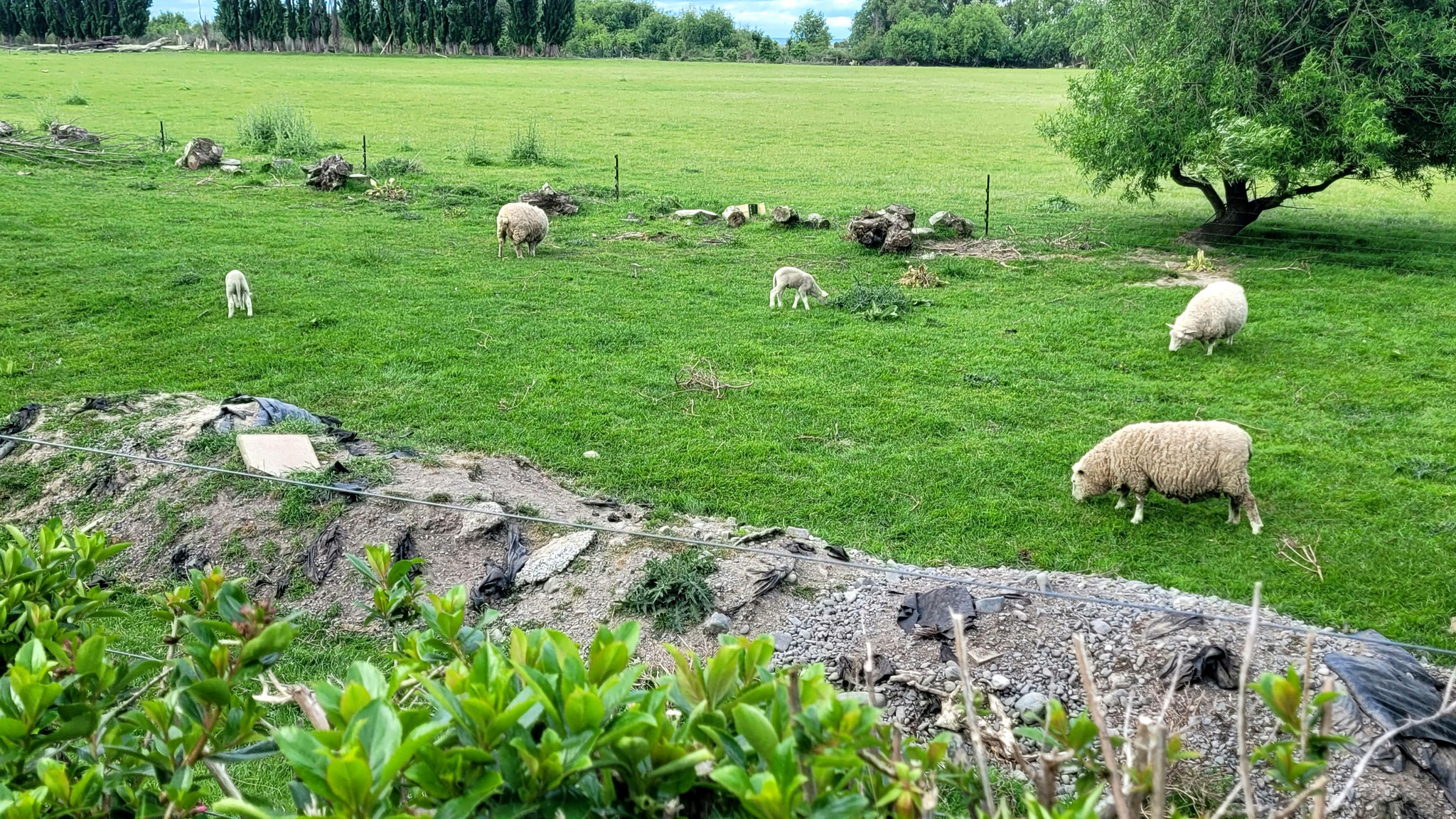 Blick von der Terrasse aufs Nachbargrundstück
