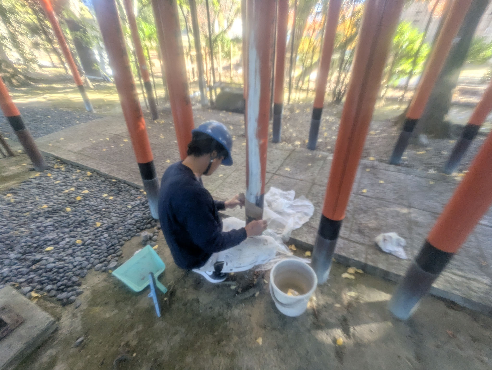 鳥居白アリ被害補修工事：工程写真
