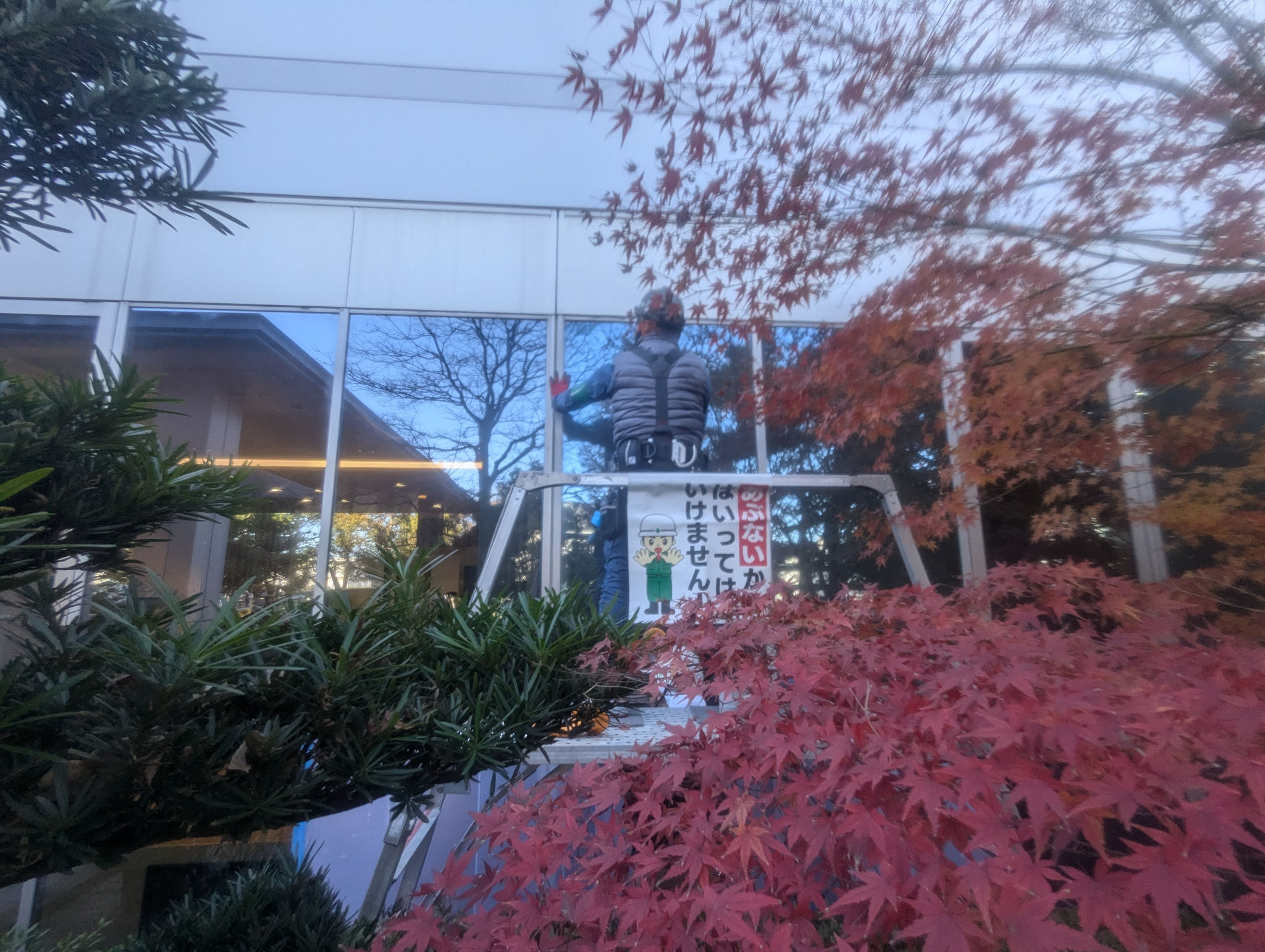 熱線反射ガラス交換工事：工程写真