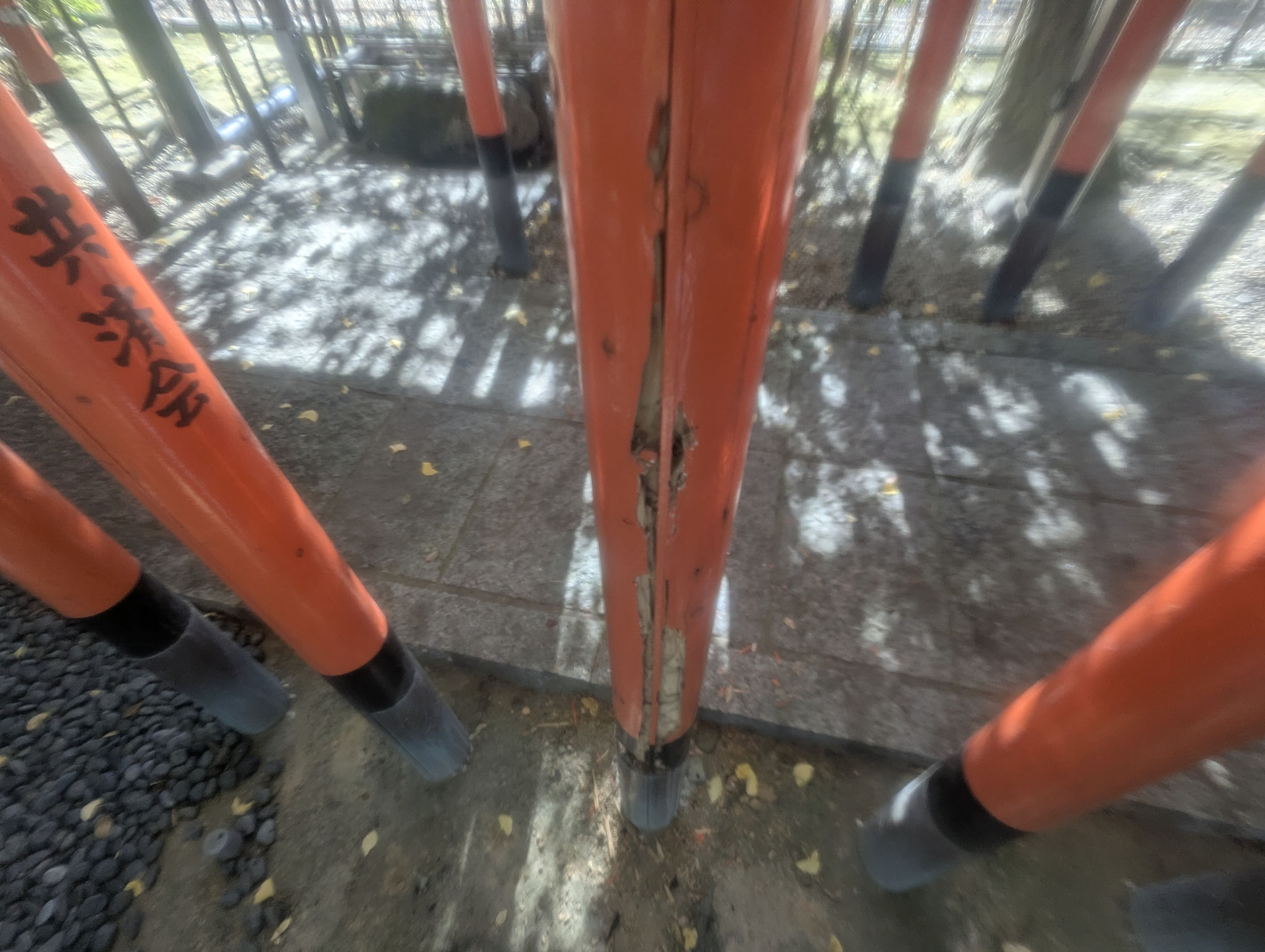 鳥居白アリ被害補修工事：工程写真