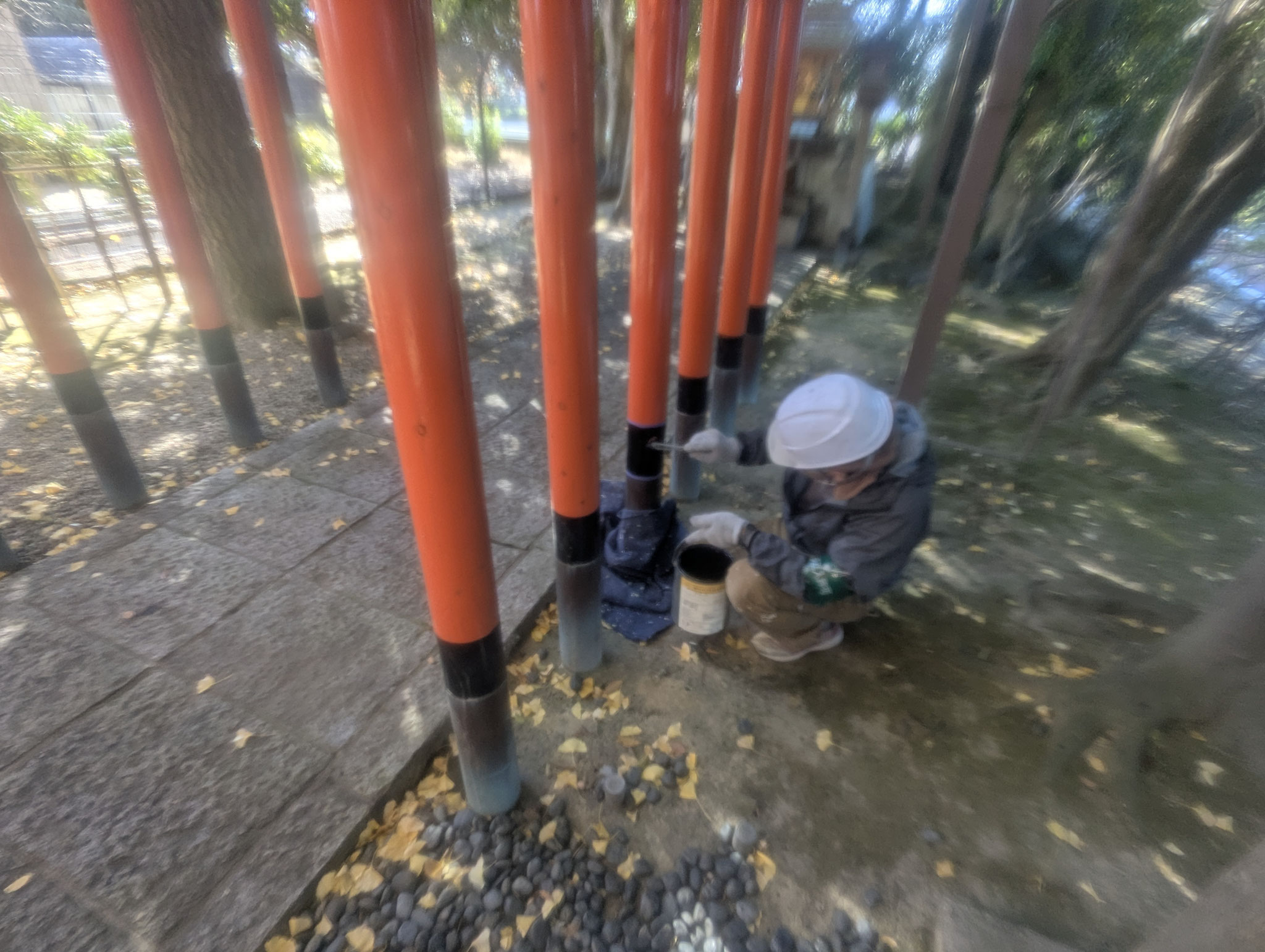 鳥居白アリ被害補修工事：工程写真