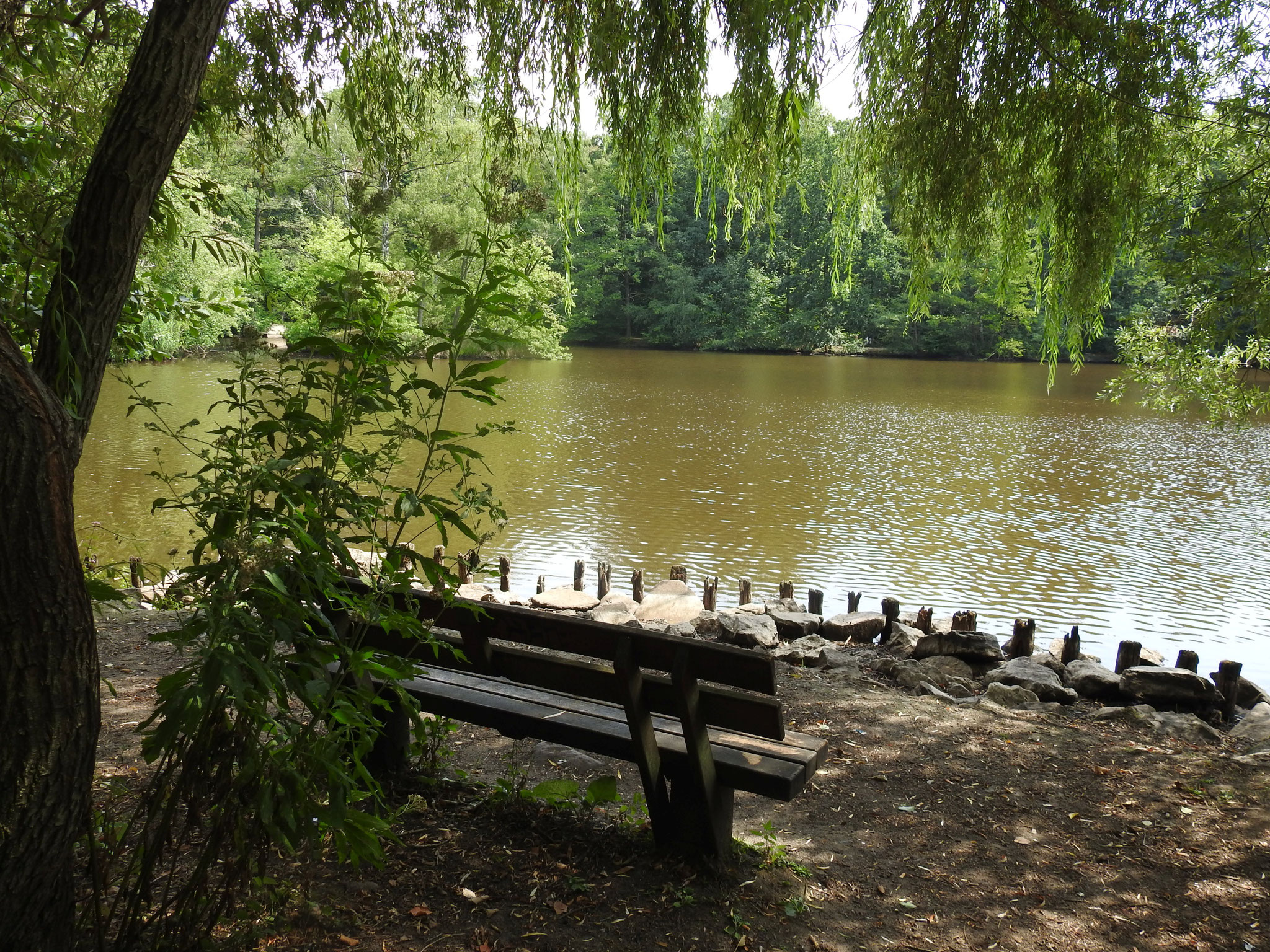 Maunzenweiher in OF  | Foto: W. Huni