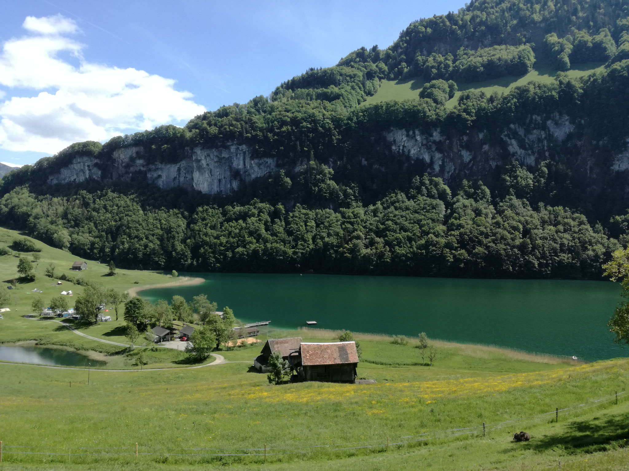 Seelisberger Seeli