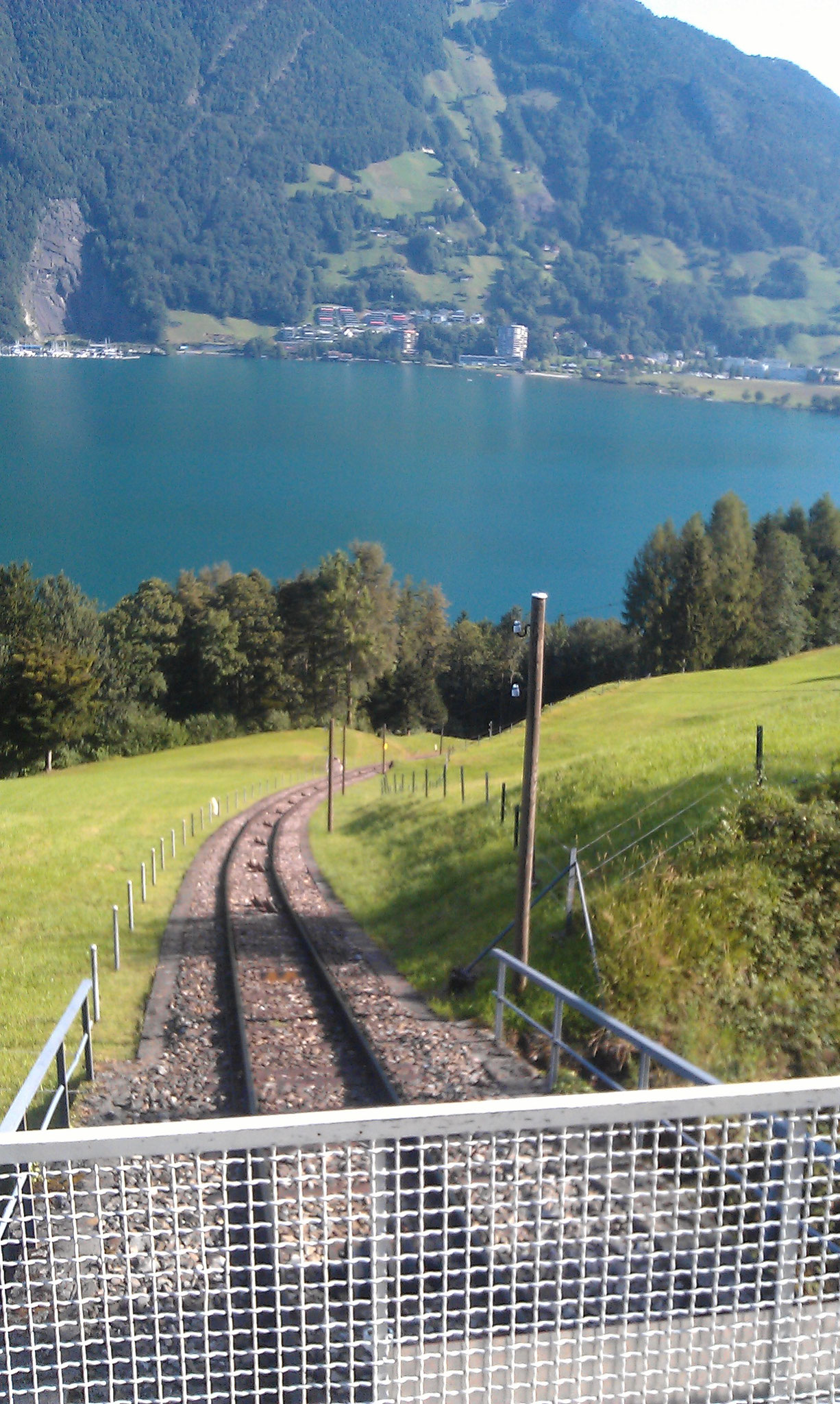 Treibbahn