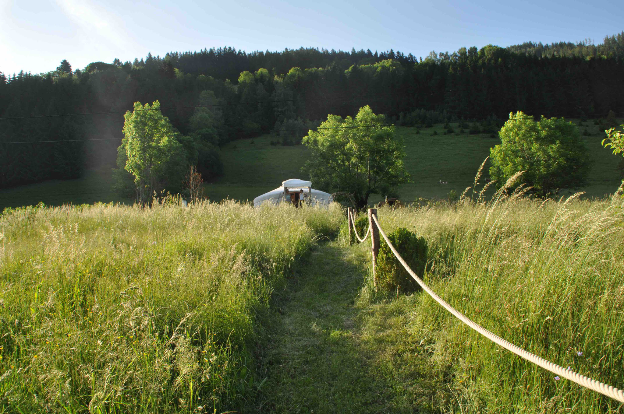 ImPuls des Lebens - Praxisort in der Natur für Psychosoziale Beratung