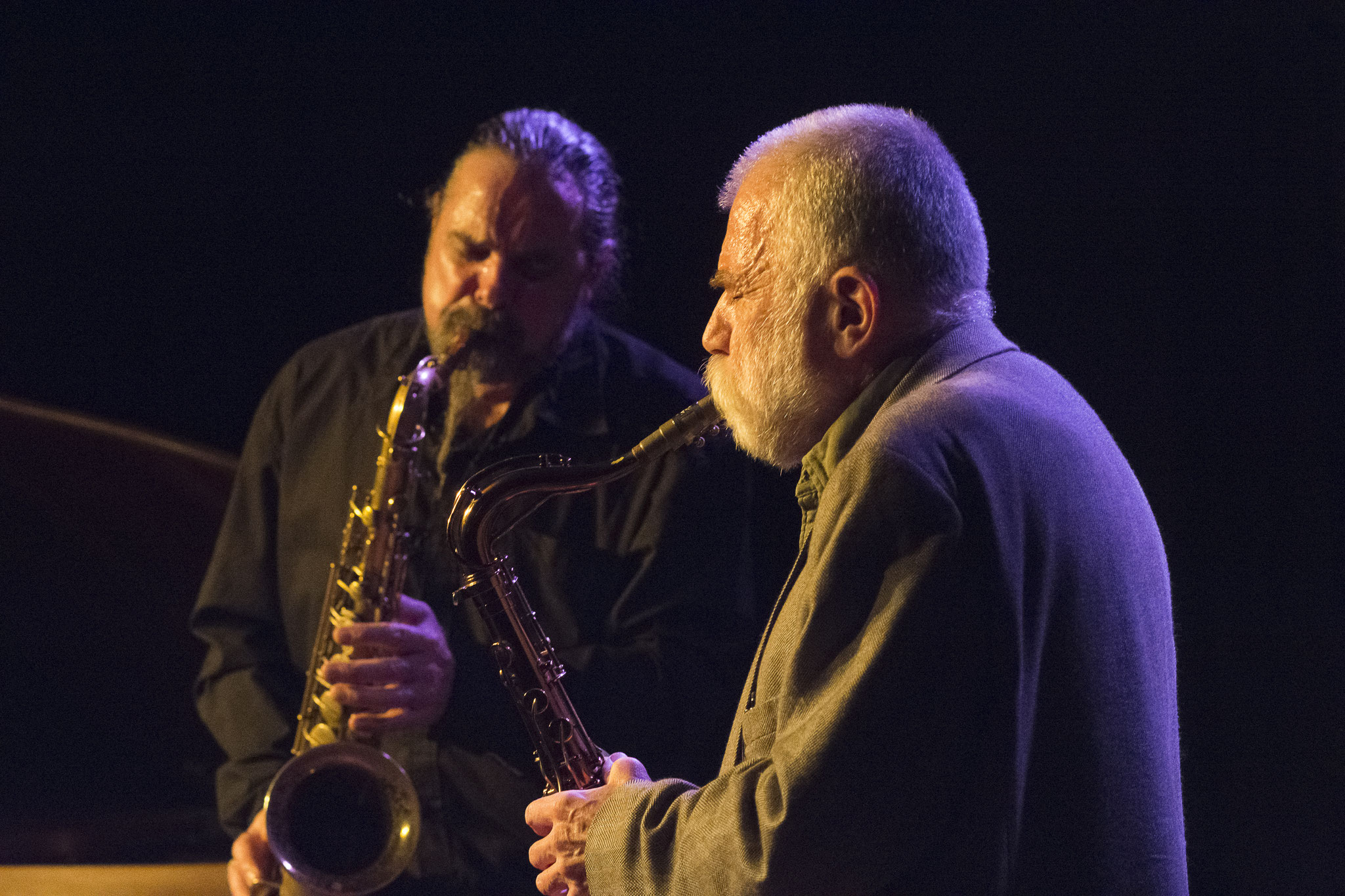 Hiby/Brötzmann   Wuppertal "Jazzclub Loch" 2018  © Antje Zeis-Loi