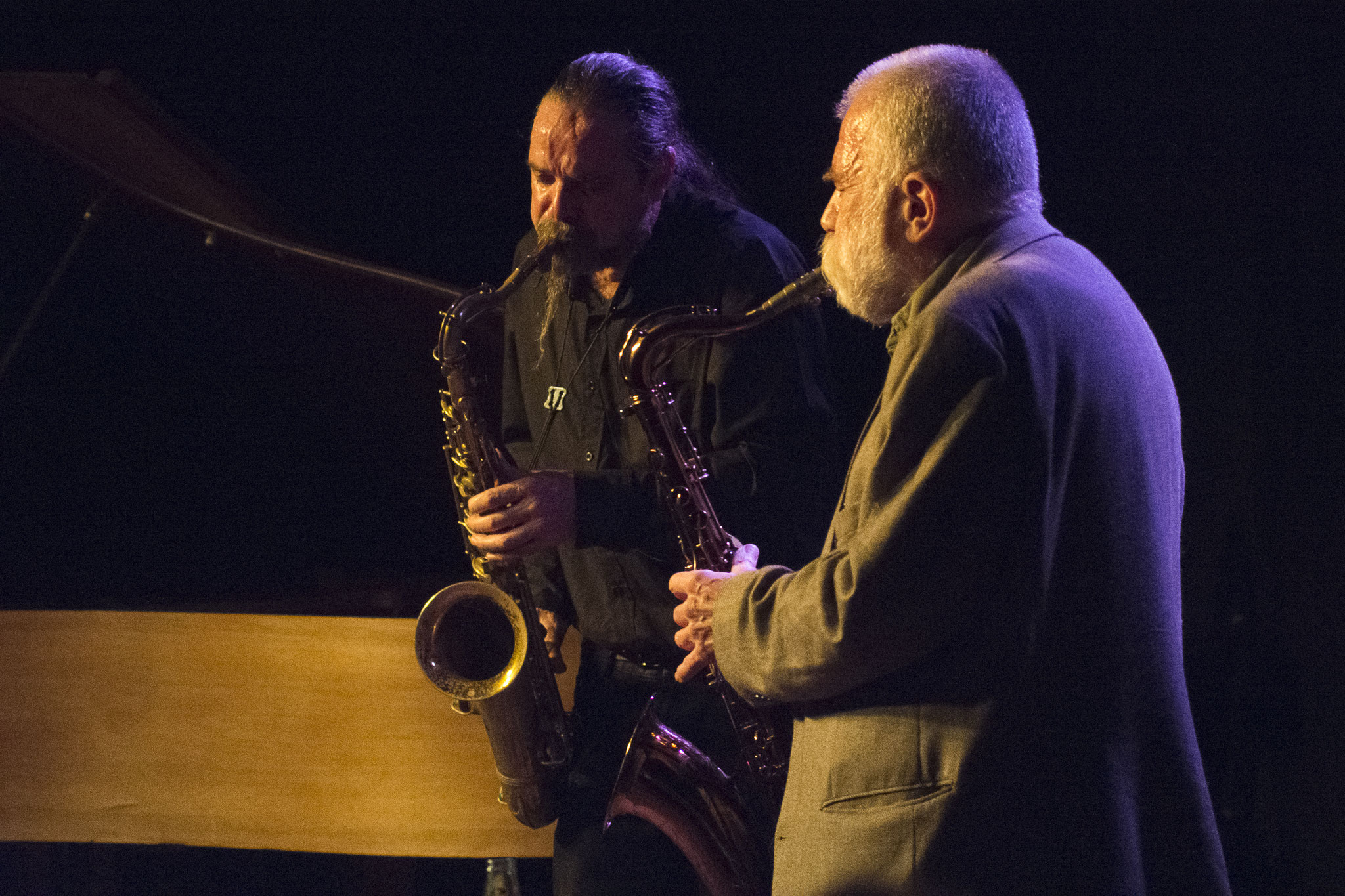 Hiby/Brötzmann   Wuppertal "Jazzclub Loch" 2018  © Antje Zeis-Loi