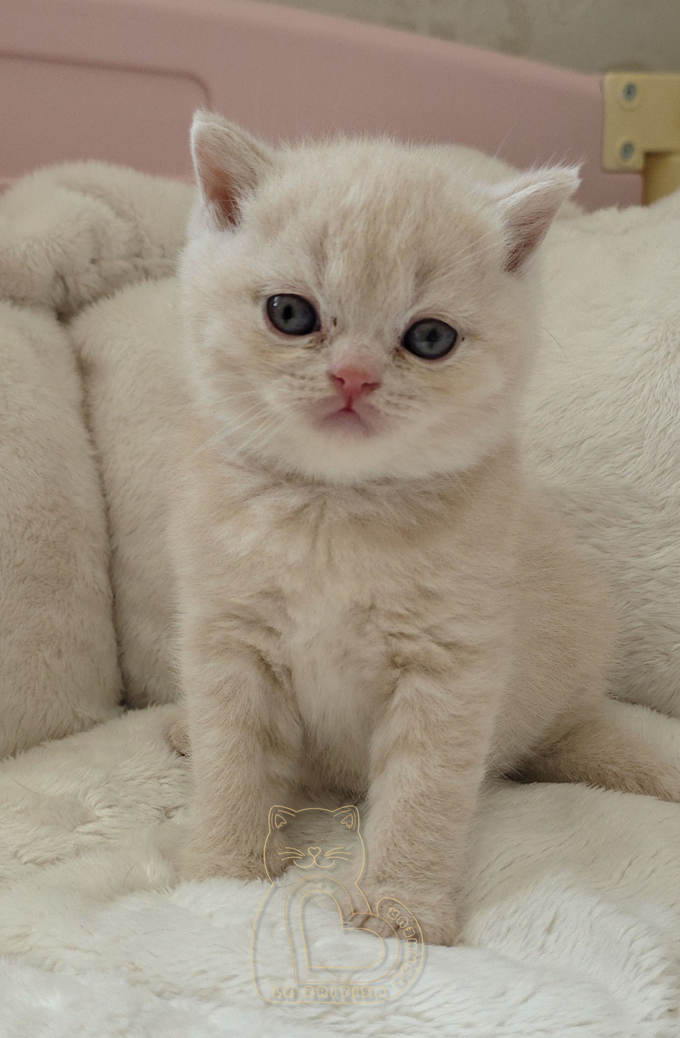 1 mois