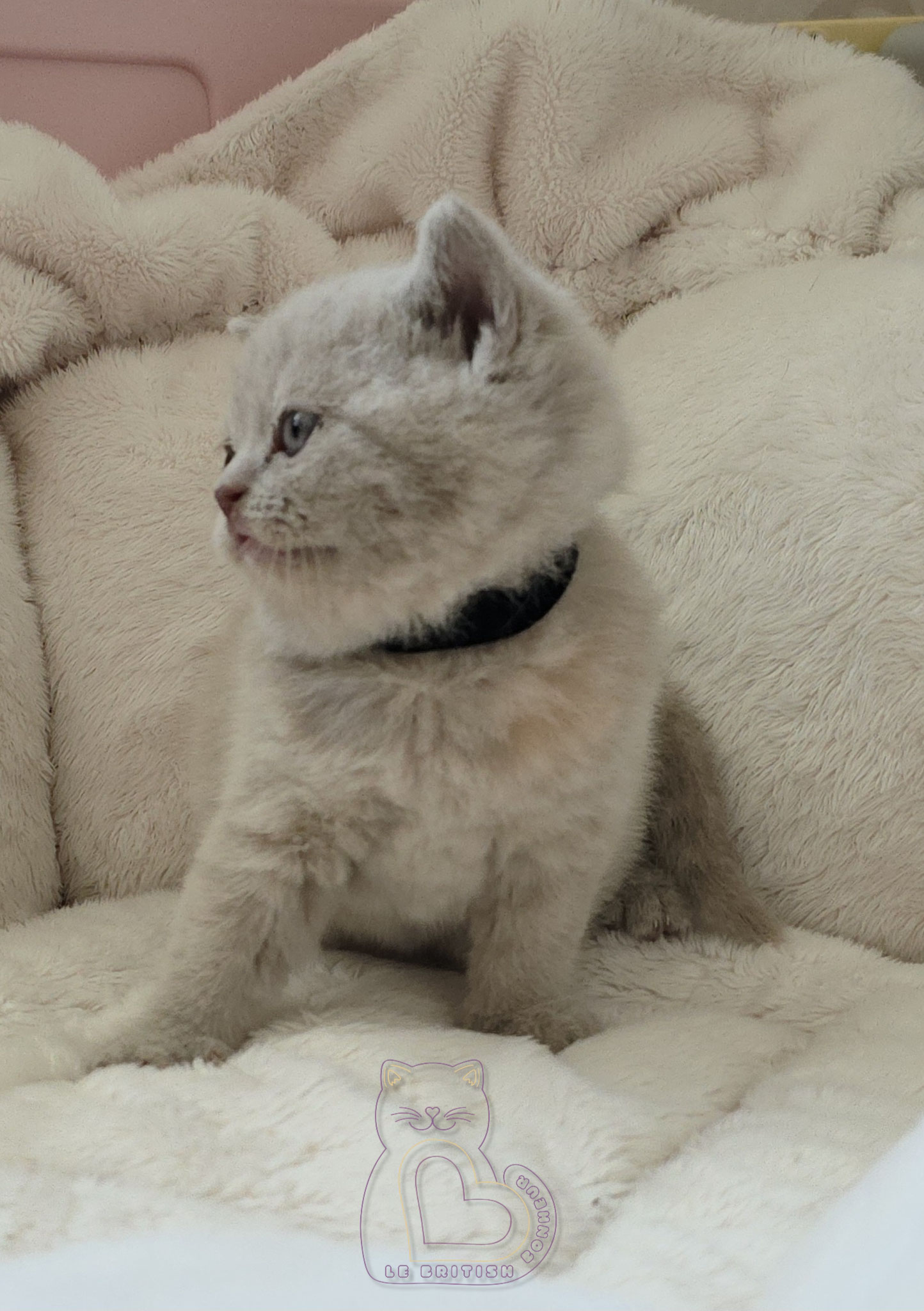 1 mois