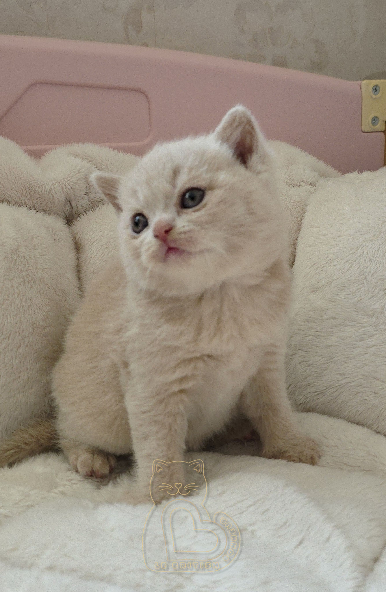 1 mois