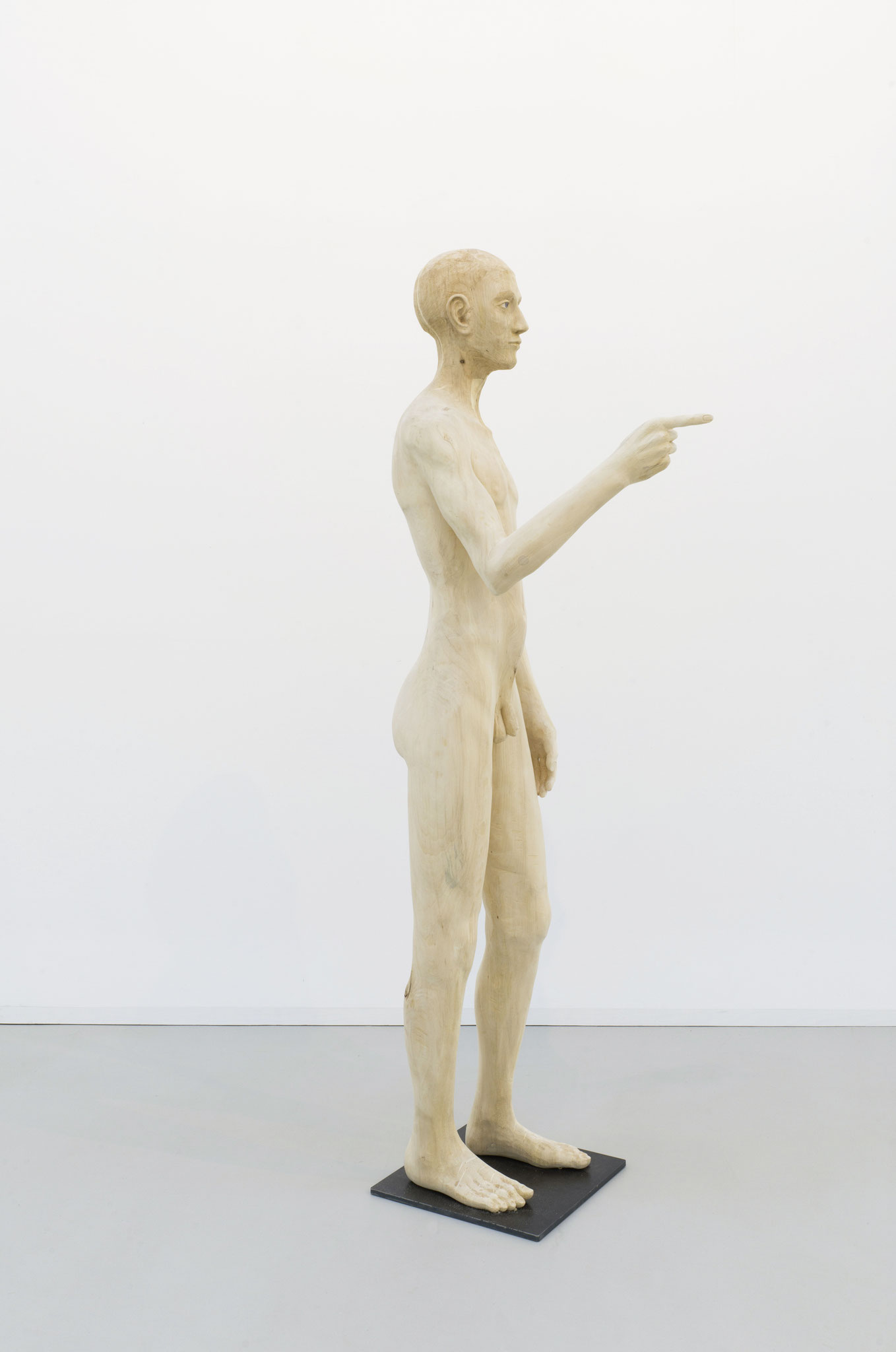 Elias Linde 180cm