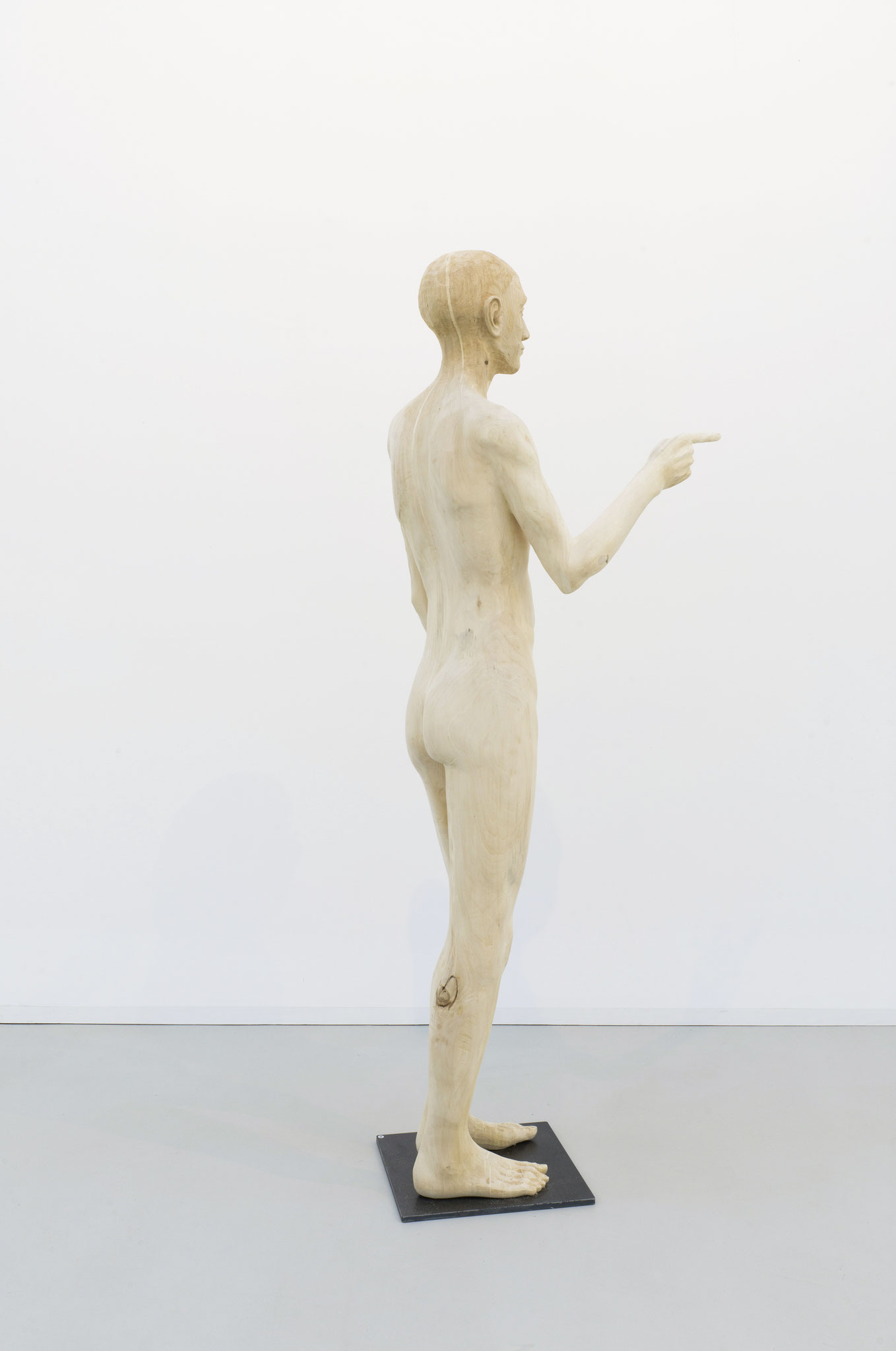 Elias Linde 180cm