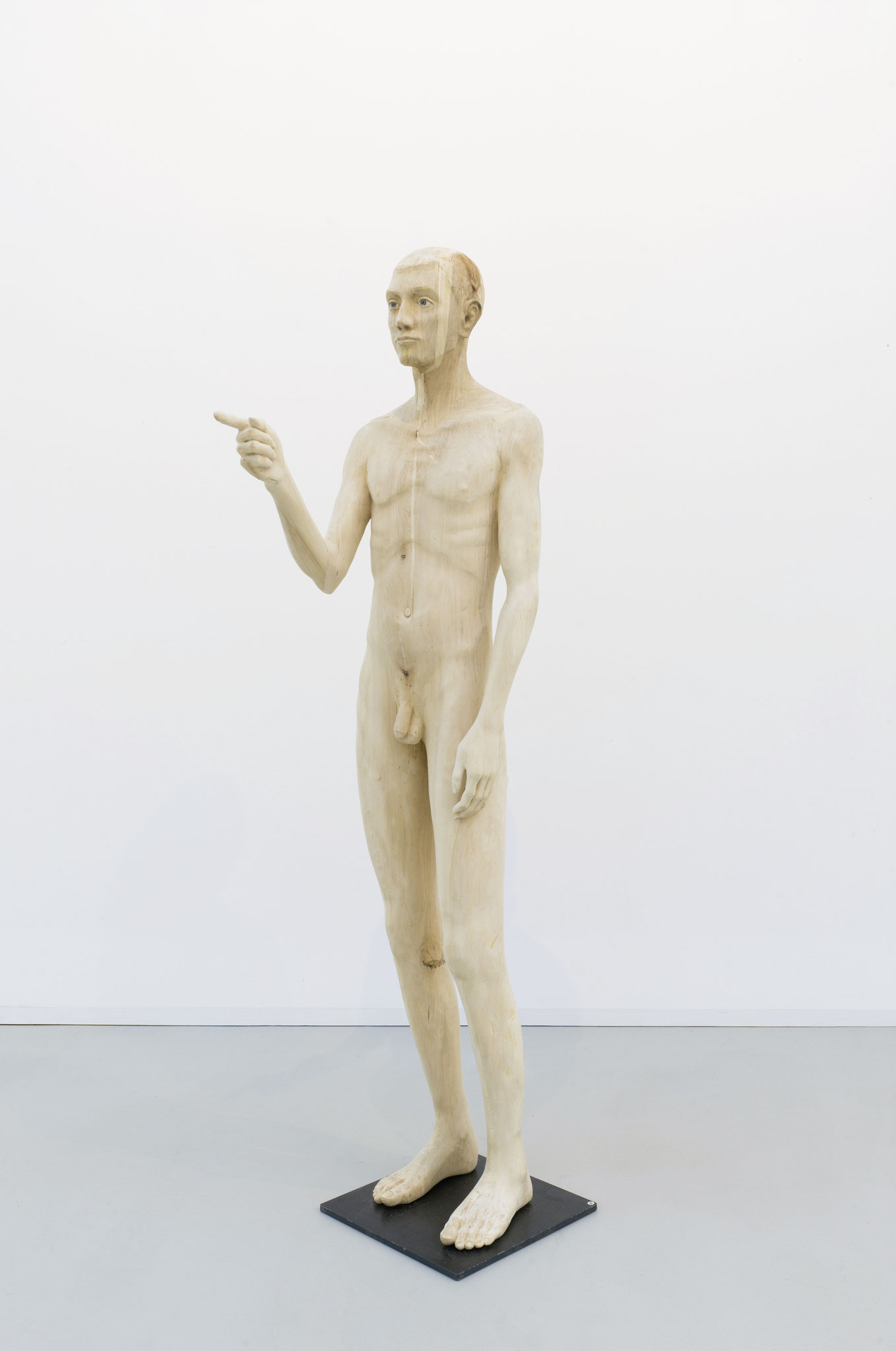 Elias Linde 180cm