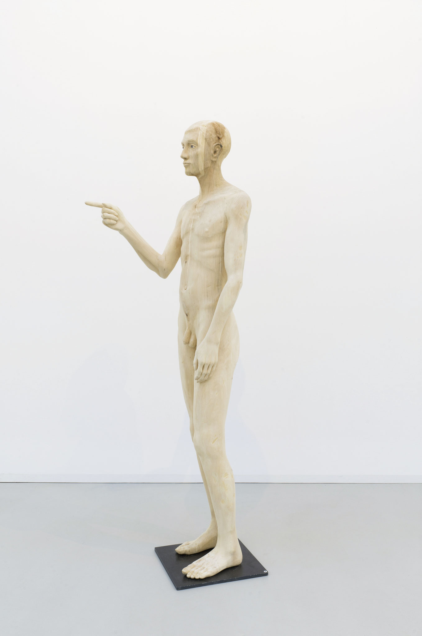Elias Linde 180cm
