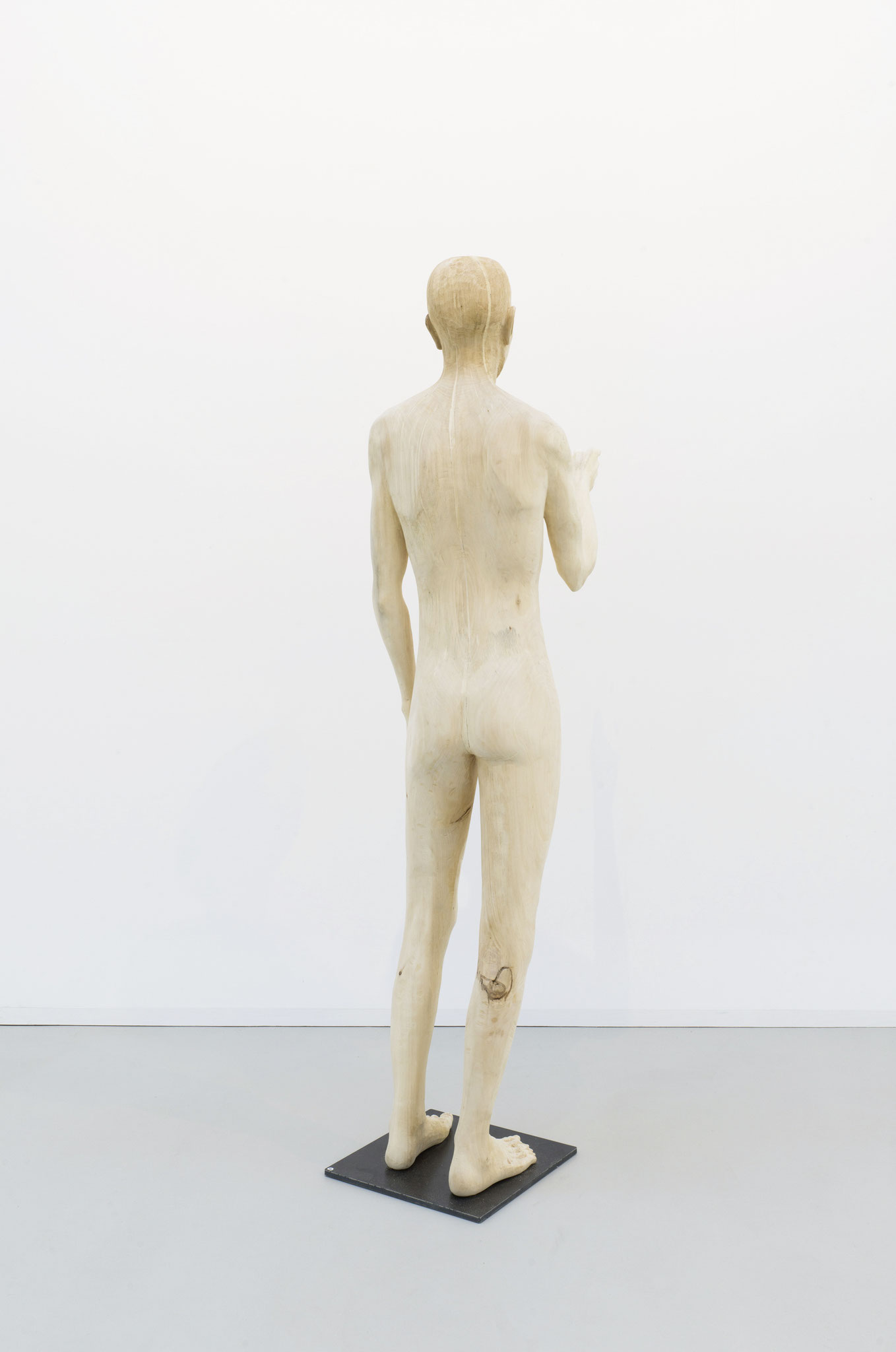 Elias Linde 180cm