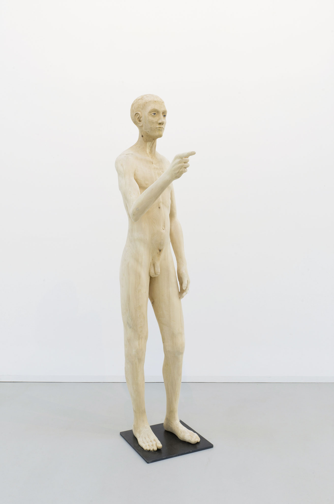 Elias Linde 180cm