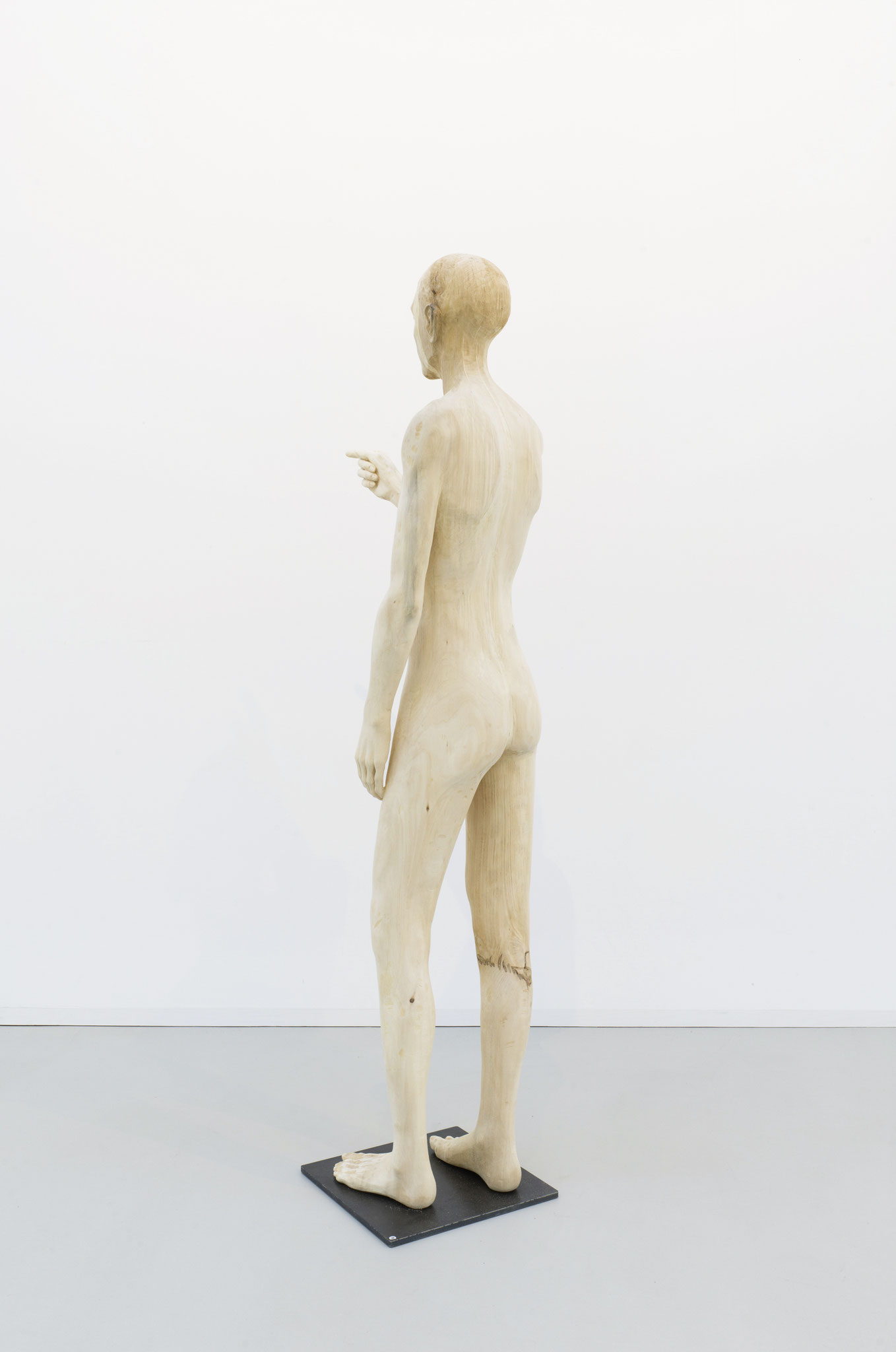 Elias Linde 180cm