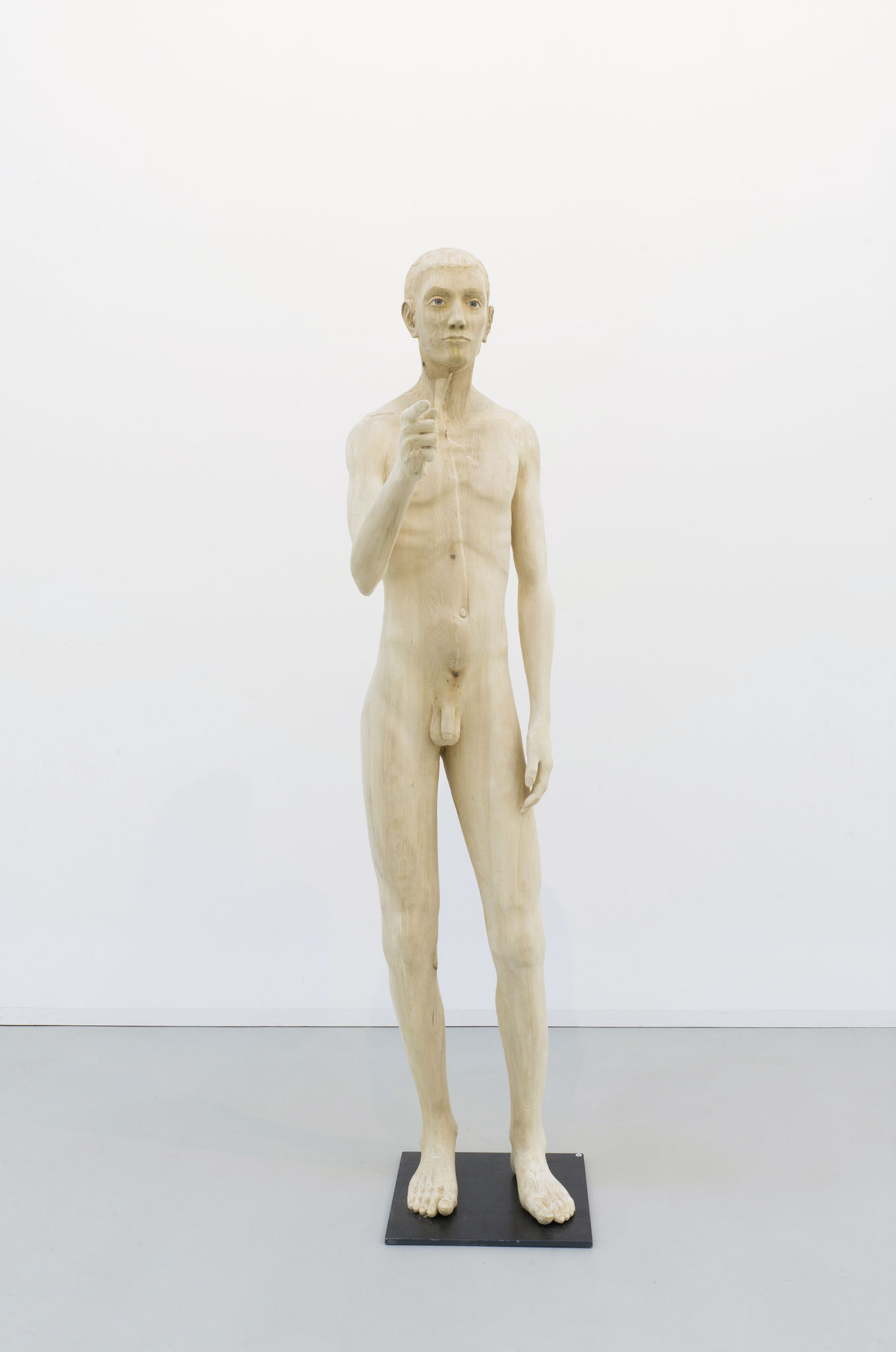 Elias Linde 180cm