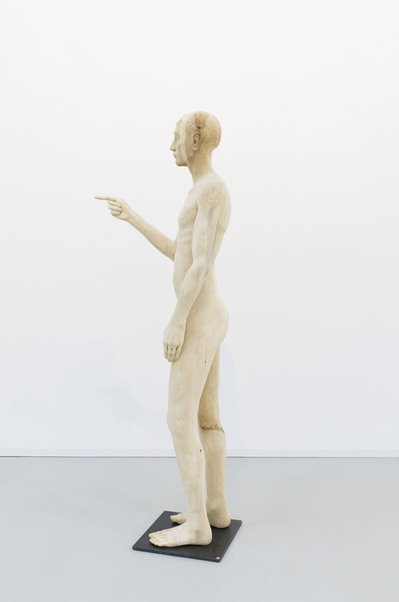 Elias Linde 180cm