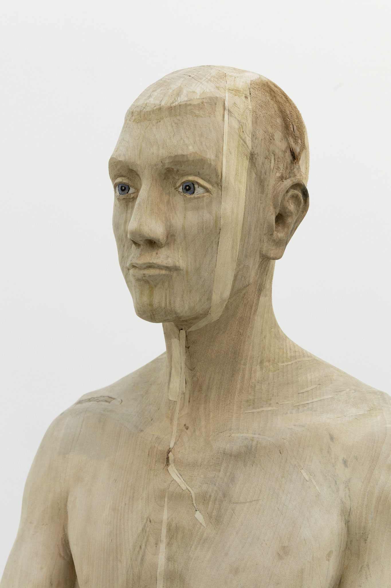 Elias Linde 180cm