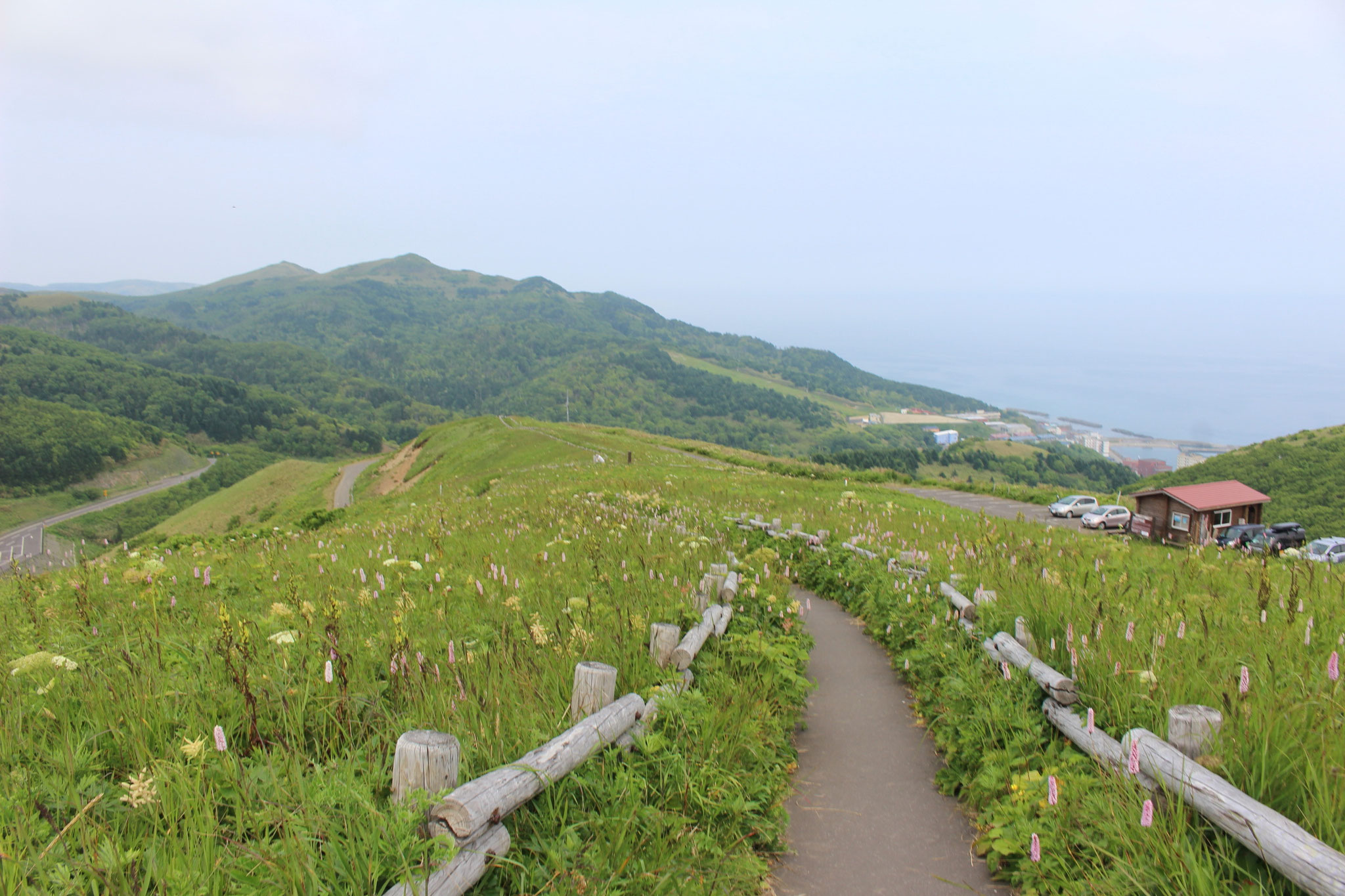 礼文島山岳コース