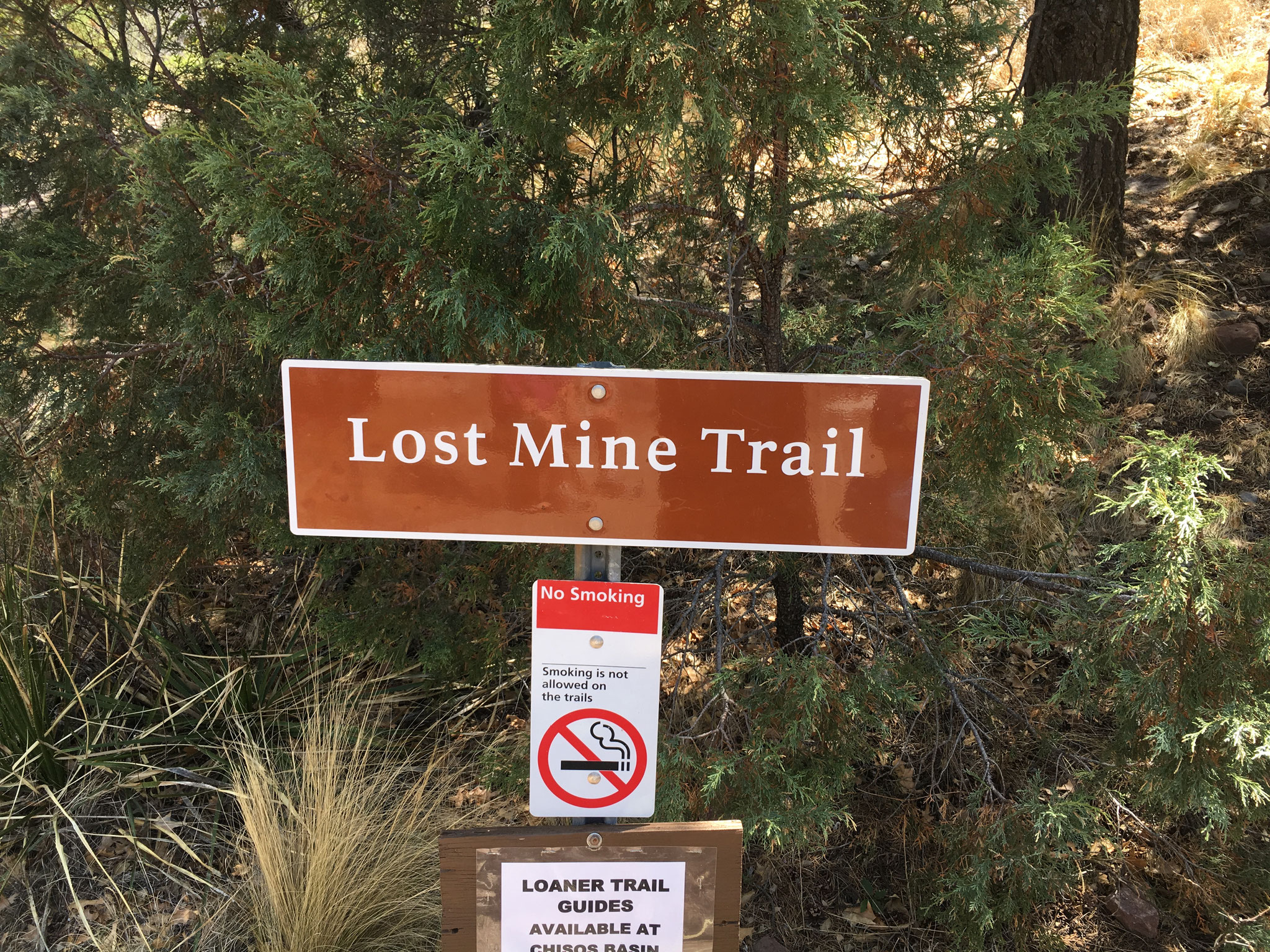 Start - kellerventresca1s Webseite!