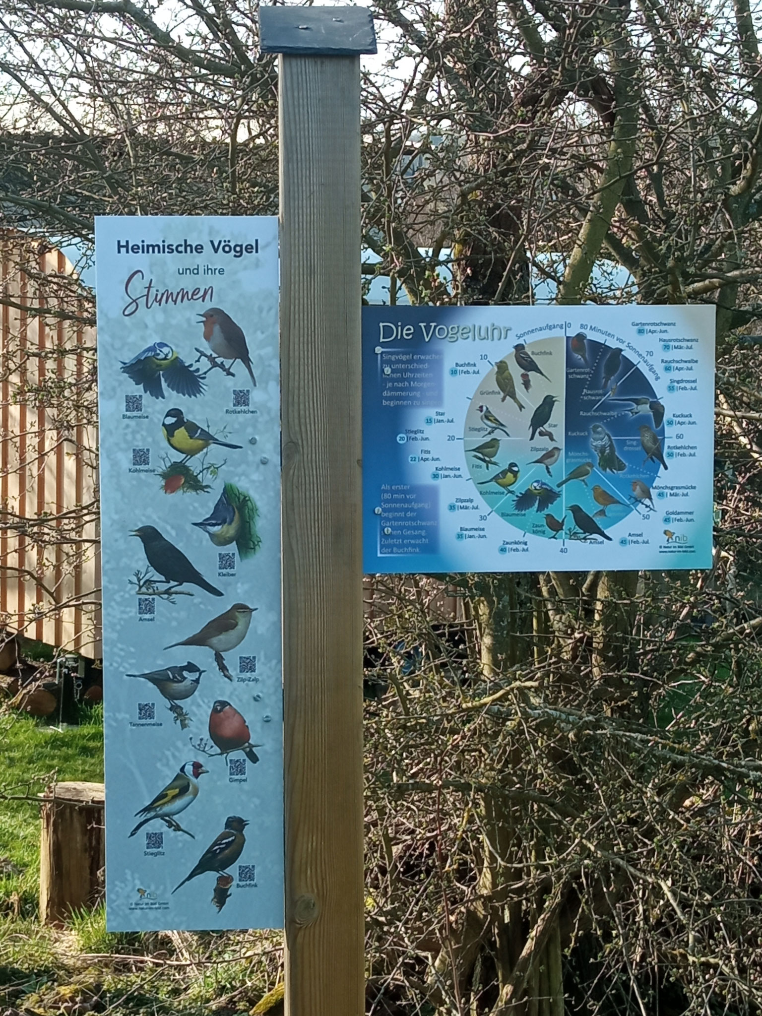 Die Vogeluhr und Vogelstimmen per QR Code anhören