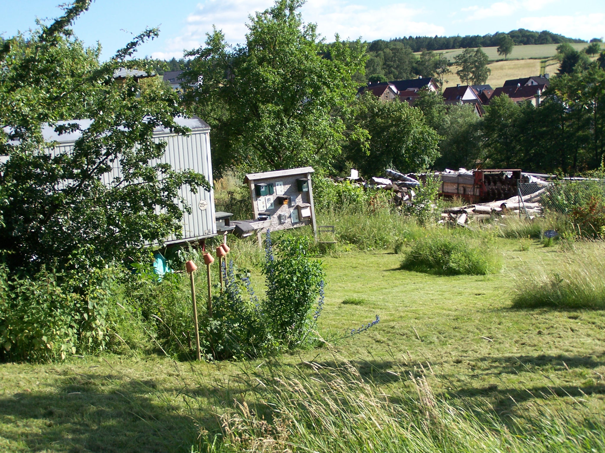 ... Inseln in der Wiese in unserem Schaugarten bleiben stehen ....