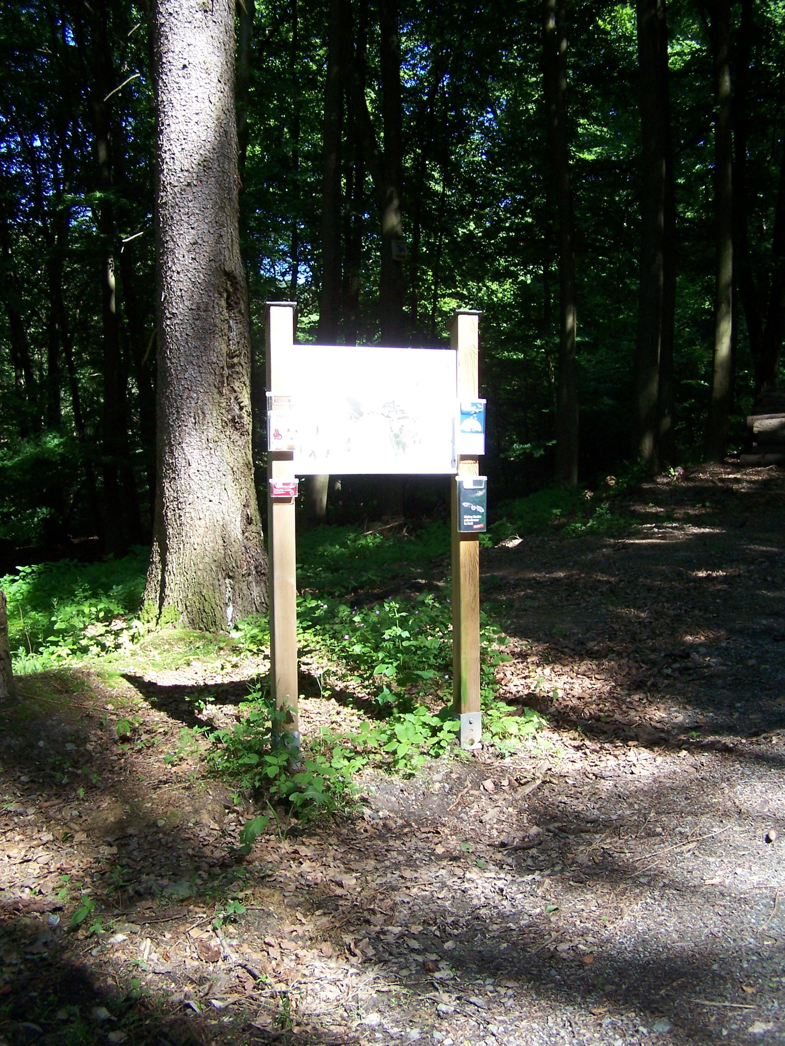 Unsere Infotafel zum Thema "Fledermäuse und ihre Lebensweise" 