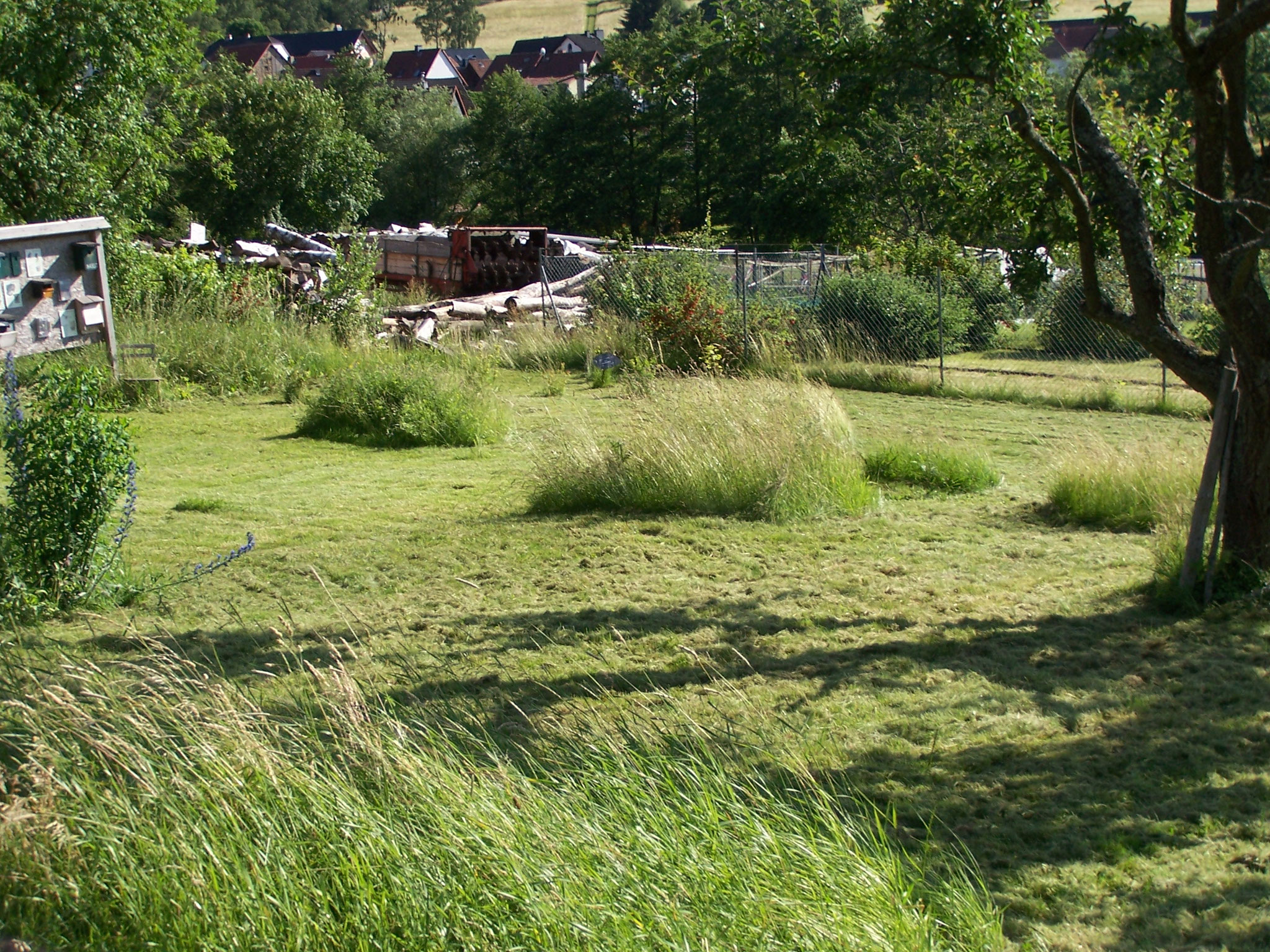 Blumeninseln im Schaugarten (2019)