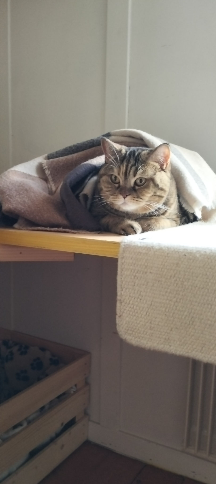 Miss Marble