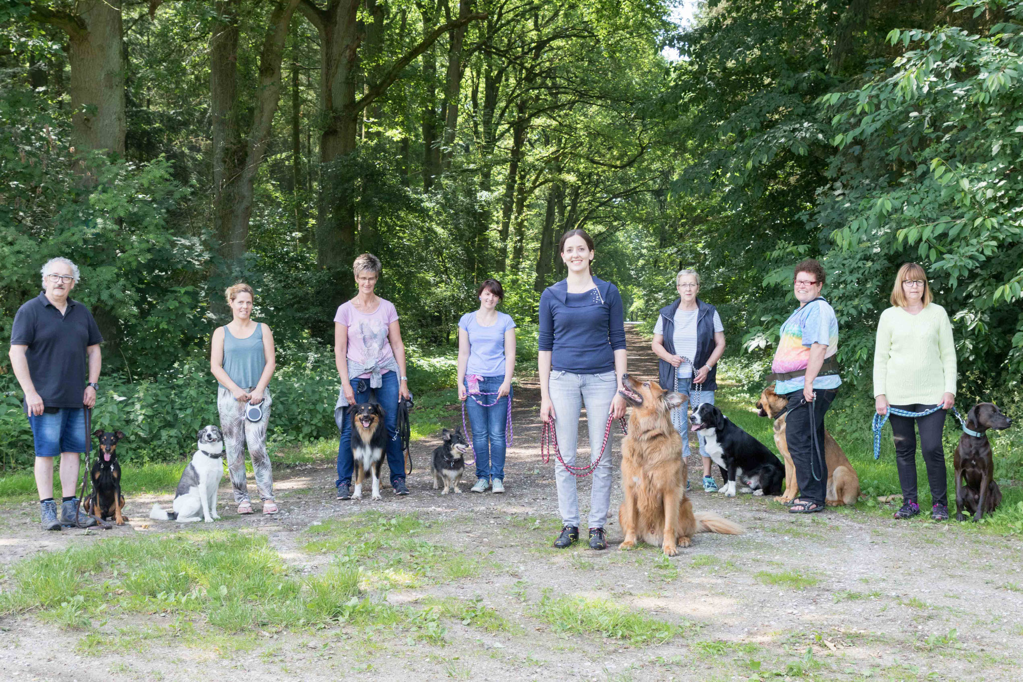 Hundeschule - Hundeschule und Ernährungsberatung für Hunde von Verden ...