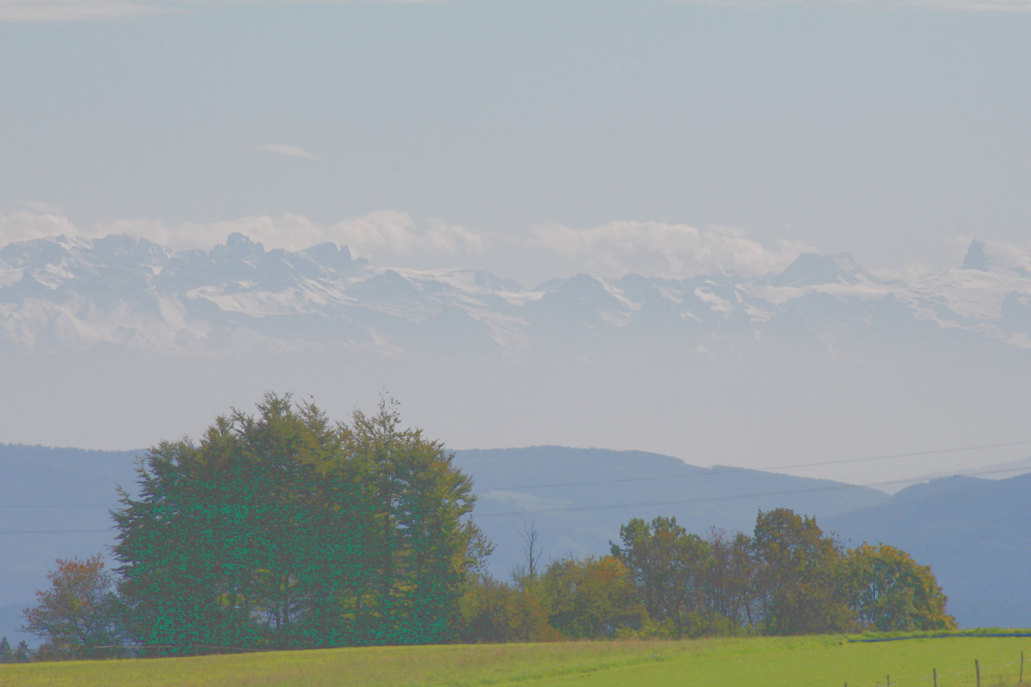 Alpensicht vom Hotzenwald