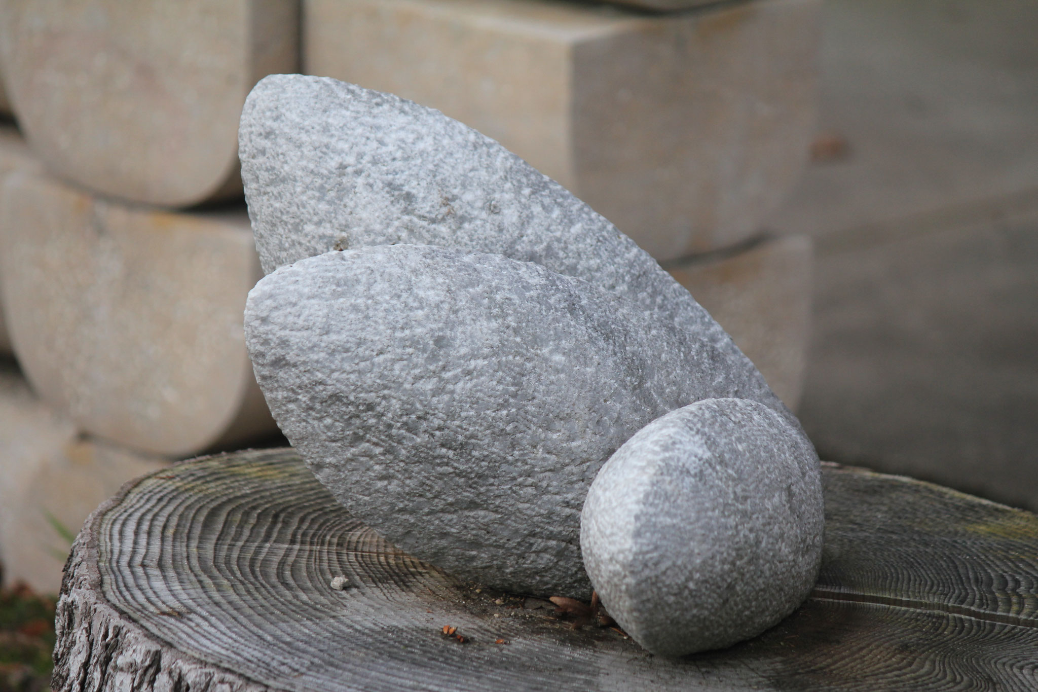 Außenbereich Skulptur Agustoni