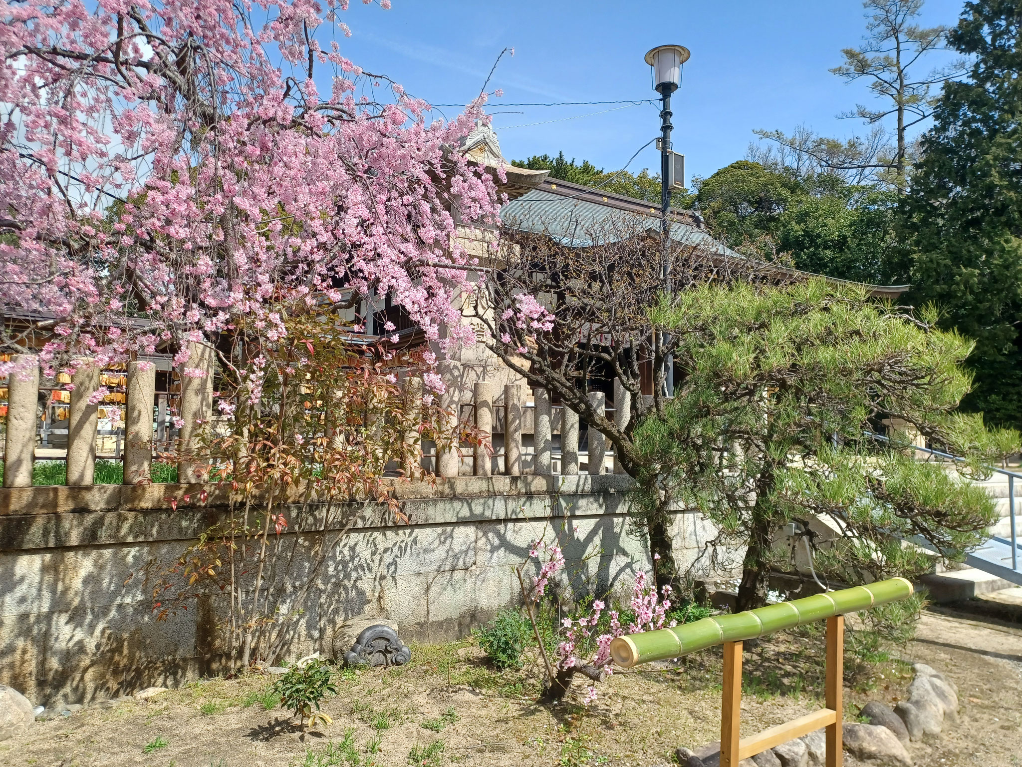 弓弦羽神社
