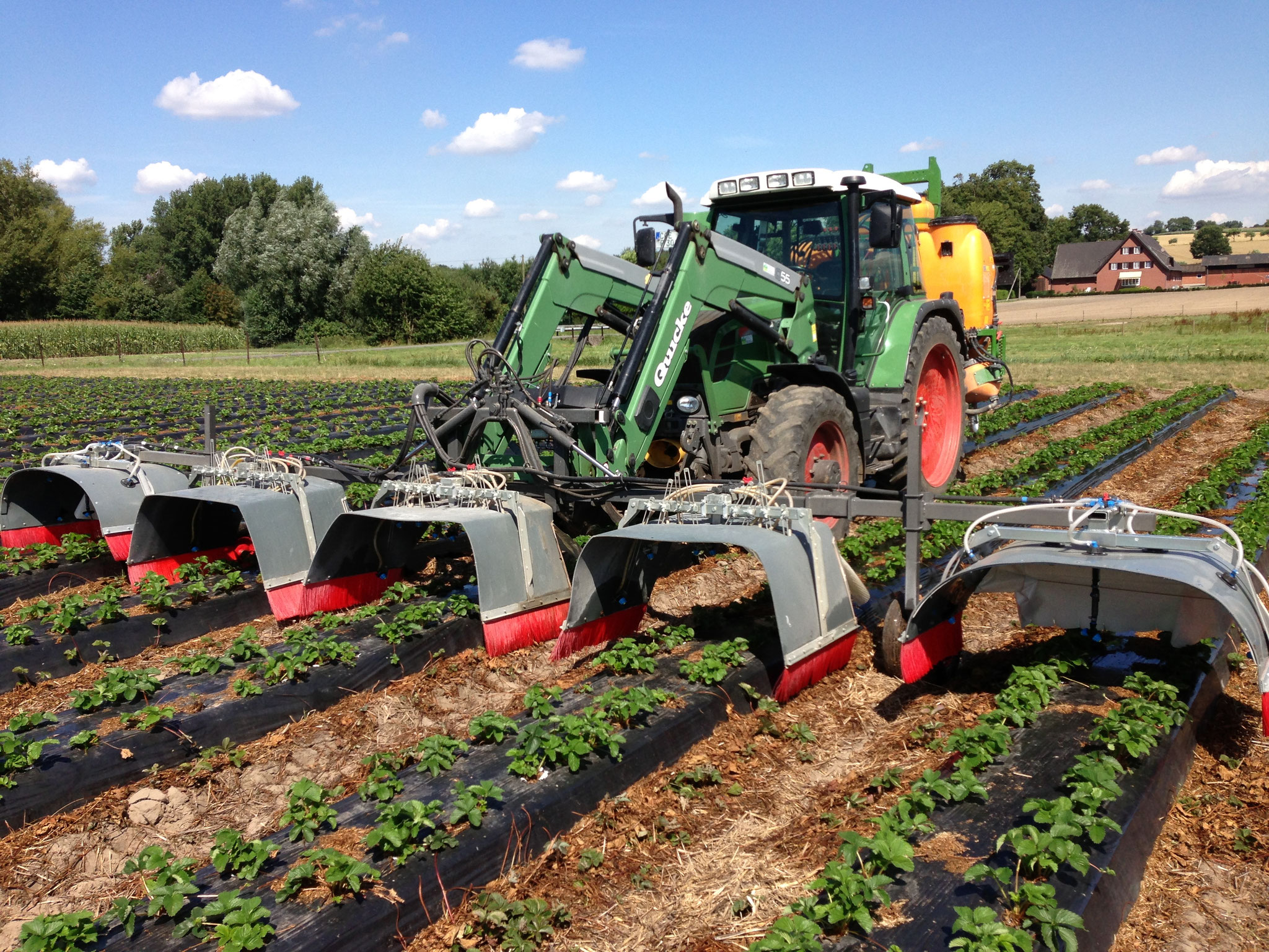 Obstbau/ Landwirtschaft - Hof Rahmann: Obst & Gemüse von Rahmann - ist