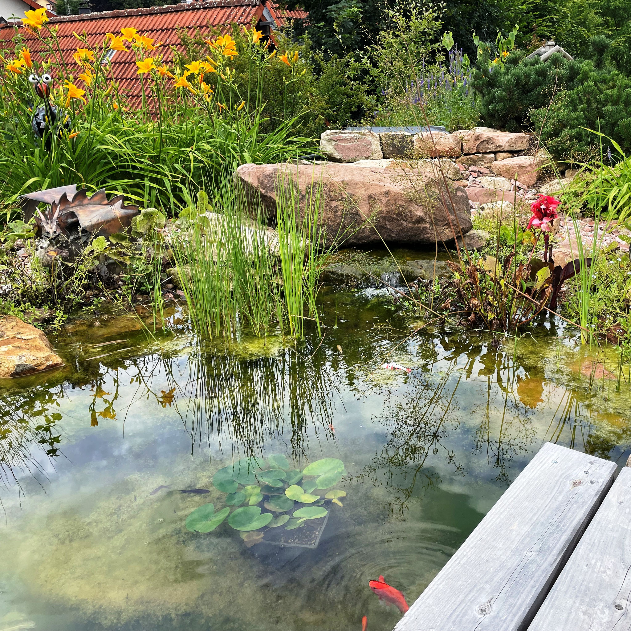 am Gartenteich