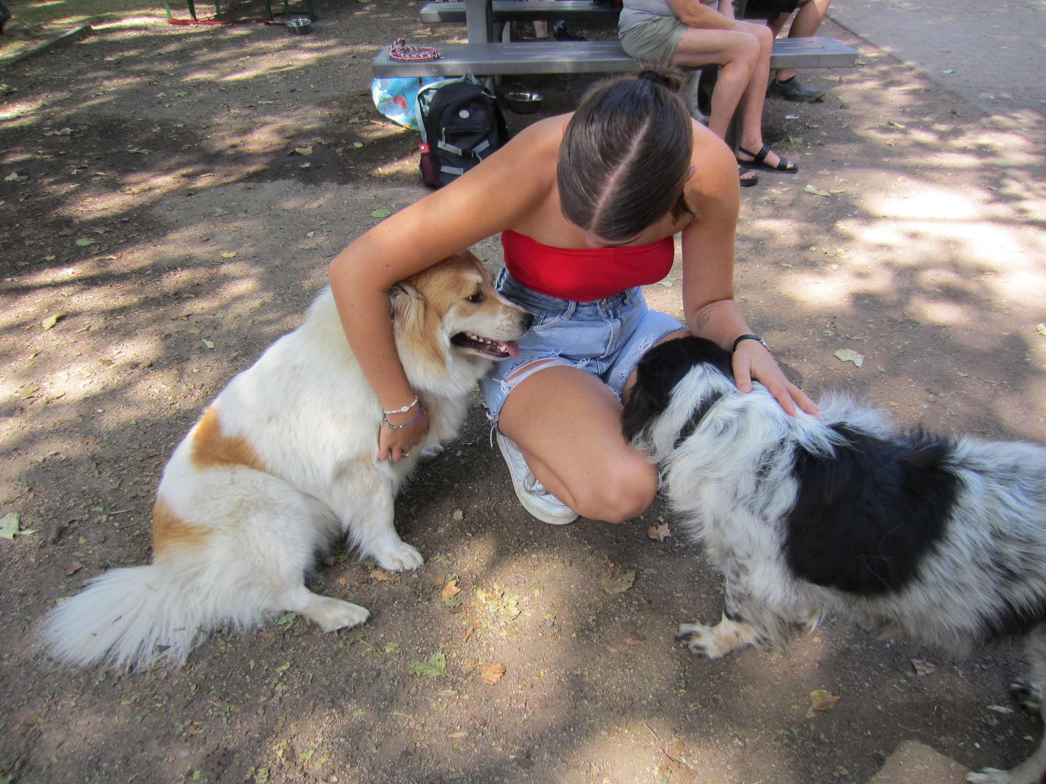 Bailey und ihre Mama Karo