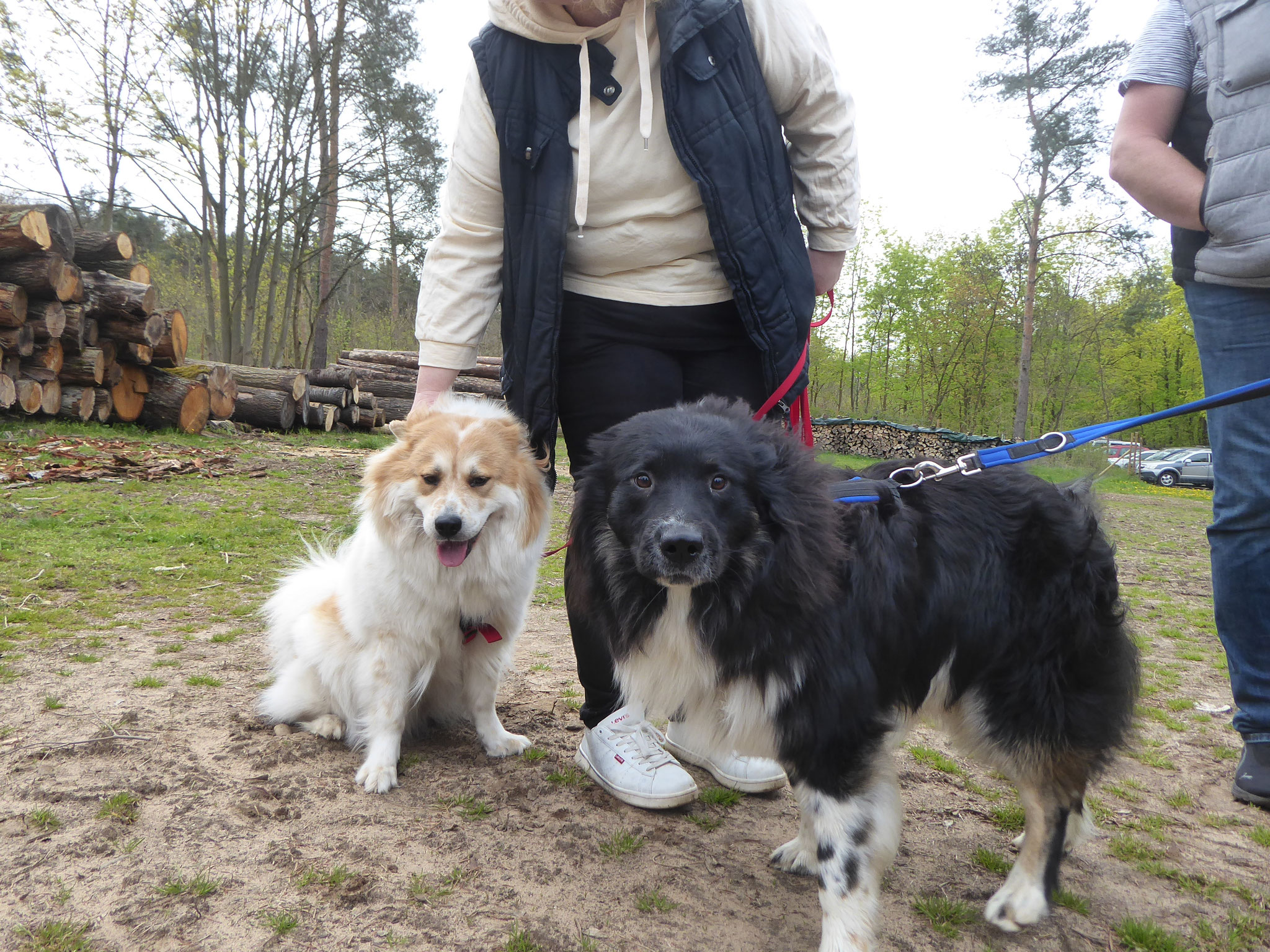 Bailey und ihr Halbbruder Jack (Covu)