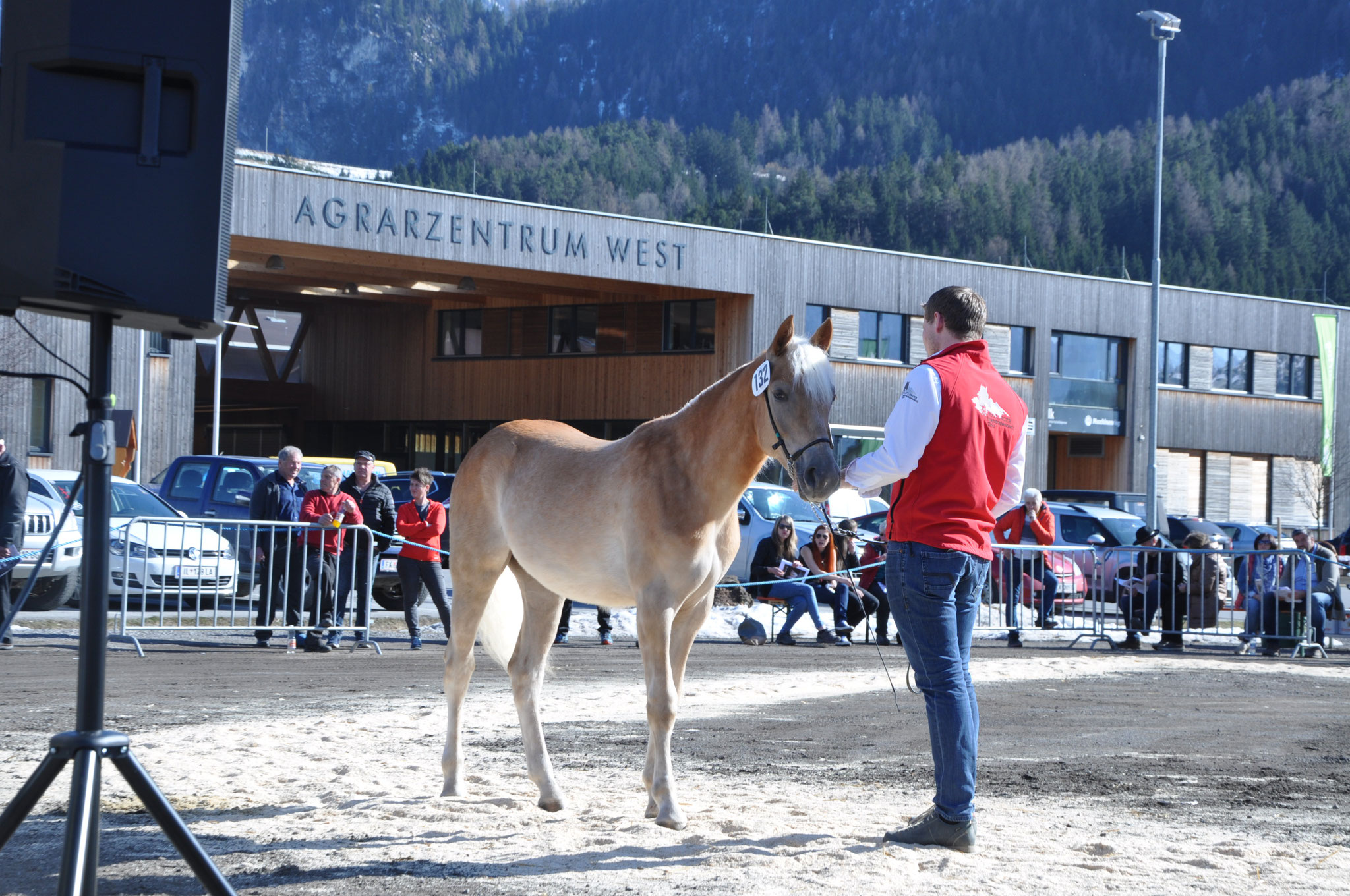 Kat.Nr 132 Celana geb. 01.02.2017 M: E20054/T Cesara V: liz.494/T Newcomer Züchter u. Besitzer: Stadelwieser Lukas & Oswald, Pfunds