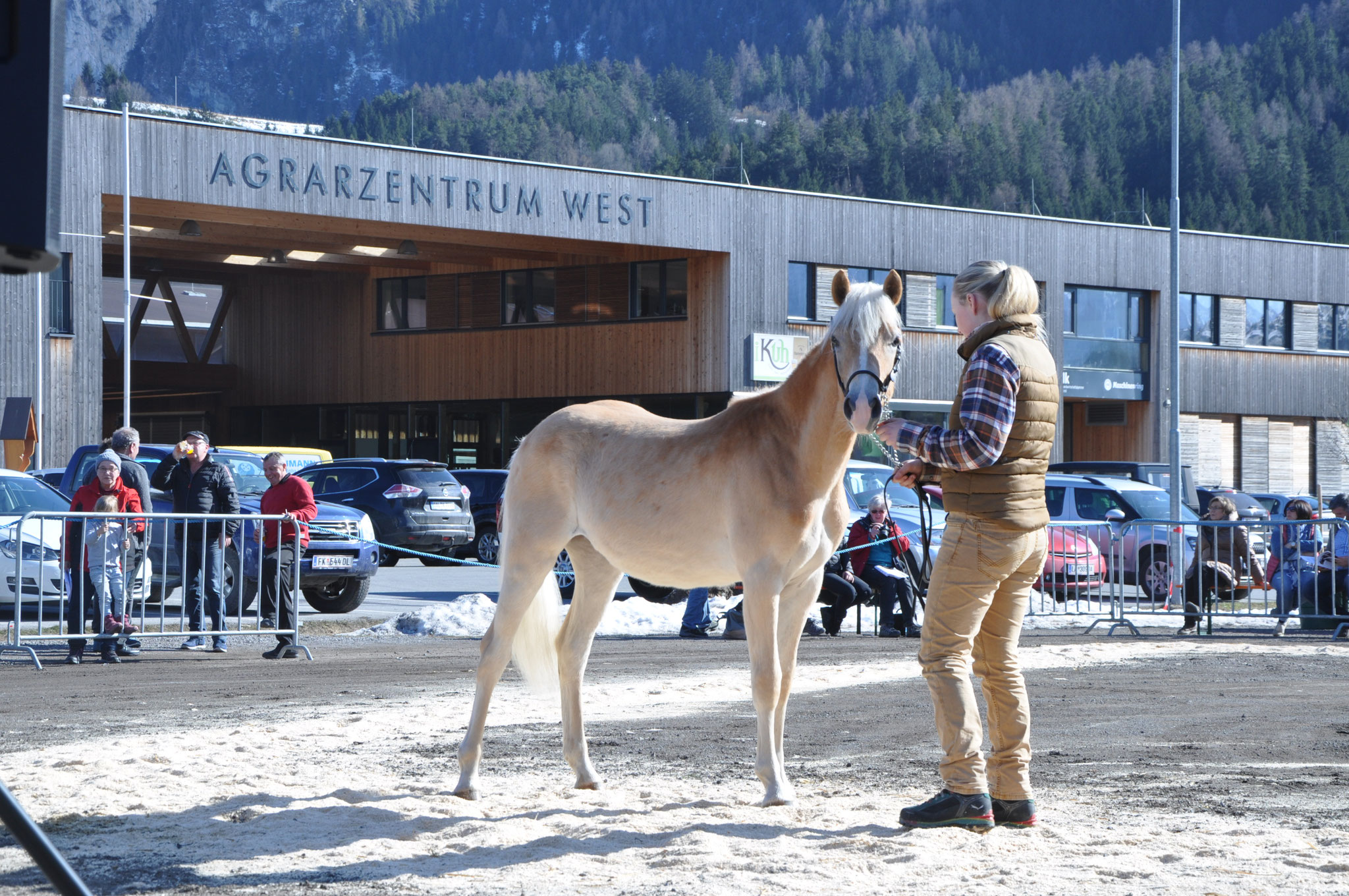 Kat.Nr 127 Amie geb. 25.02.2017 M: 20051/T Andora V: liz.482/T Sterndal Züchter u. Besitzer: Netzer Ursula, Ladis