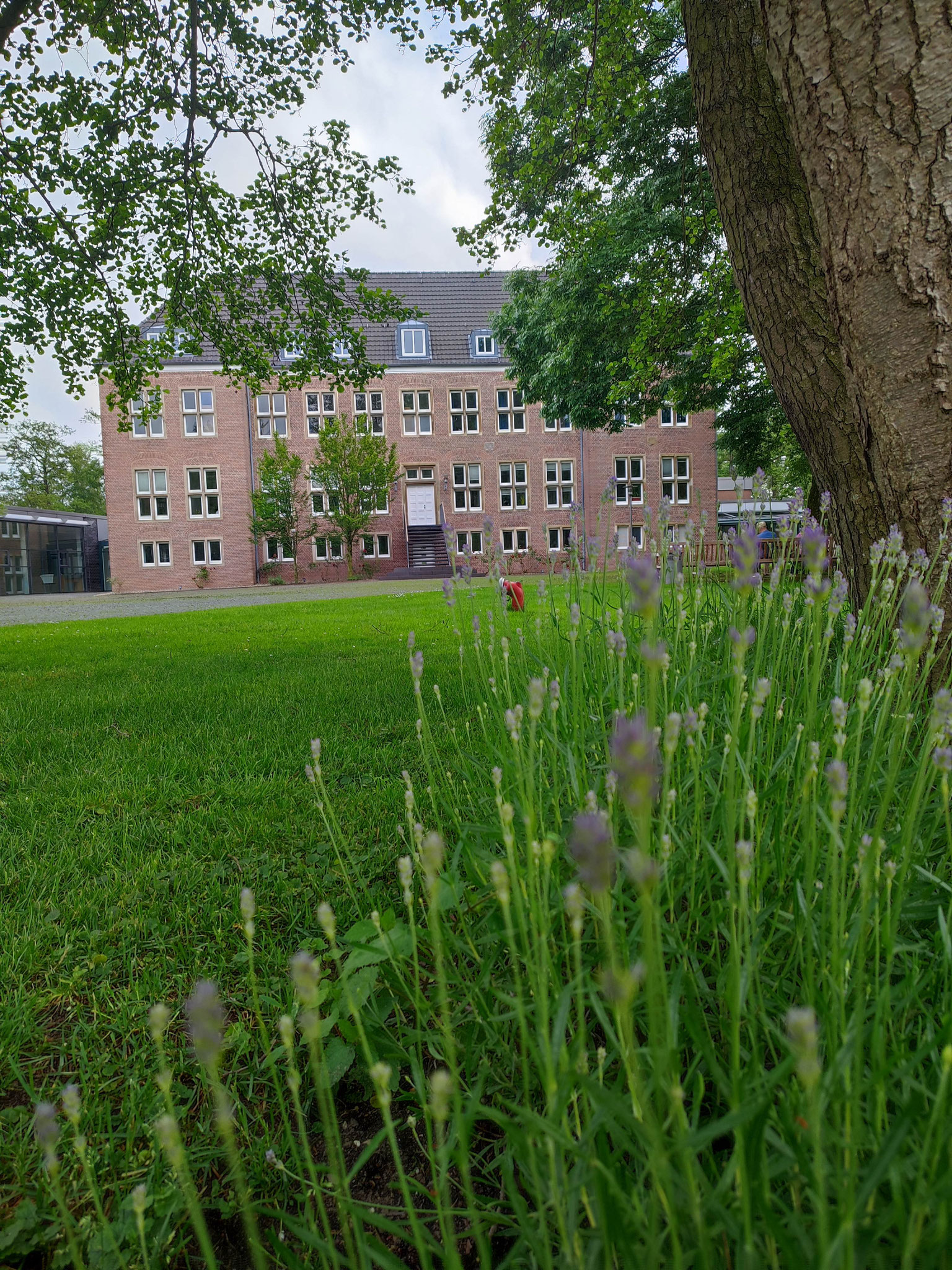Qigong Auszeit für Frauen am Niederrhein in NRW in Kleve