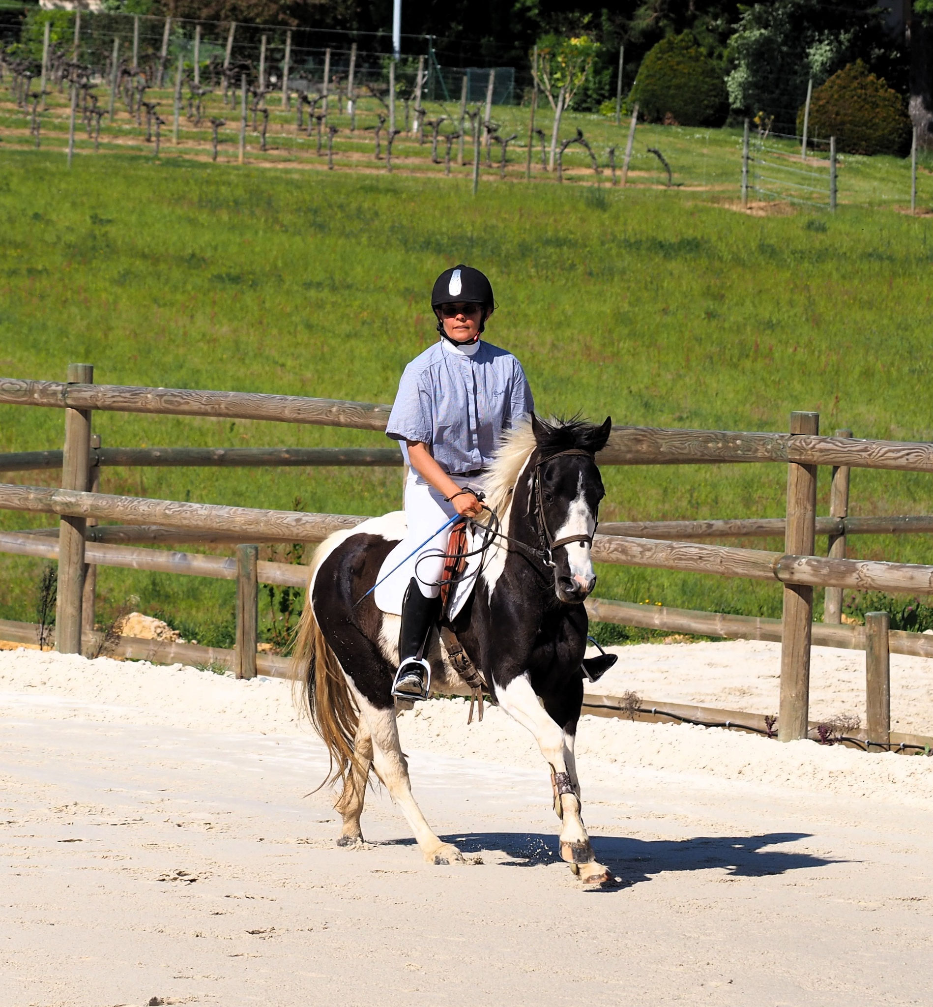 Aurélie et Dream en épreuve jeunes chevaux