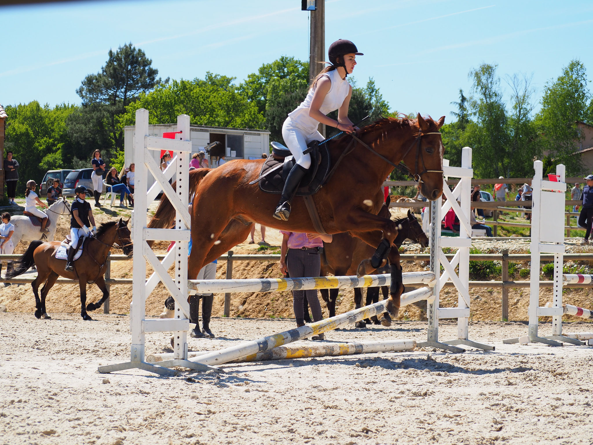 Marie B et steven en club 2 (90 cm) 