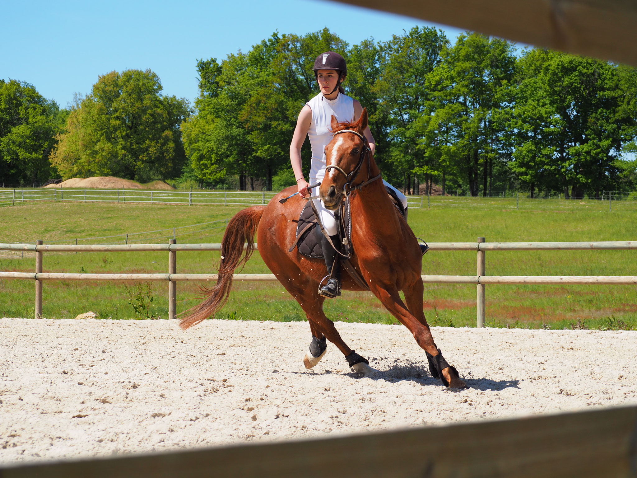 Marie B et steven en club 2 (90 cm) 