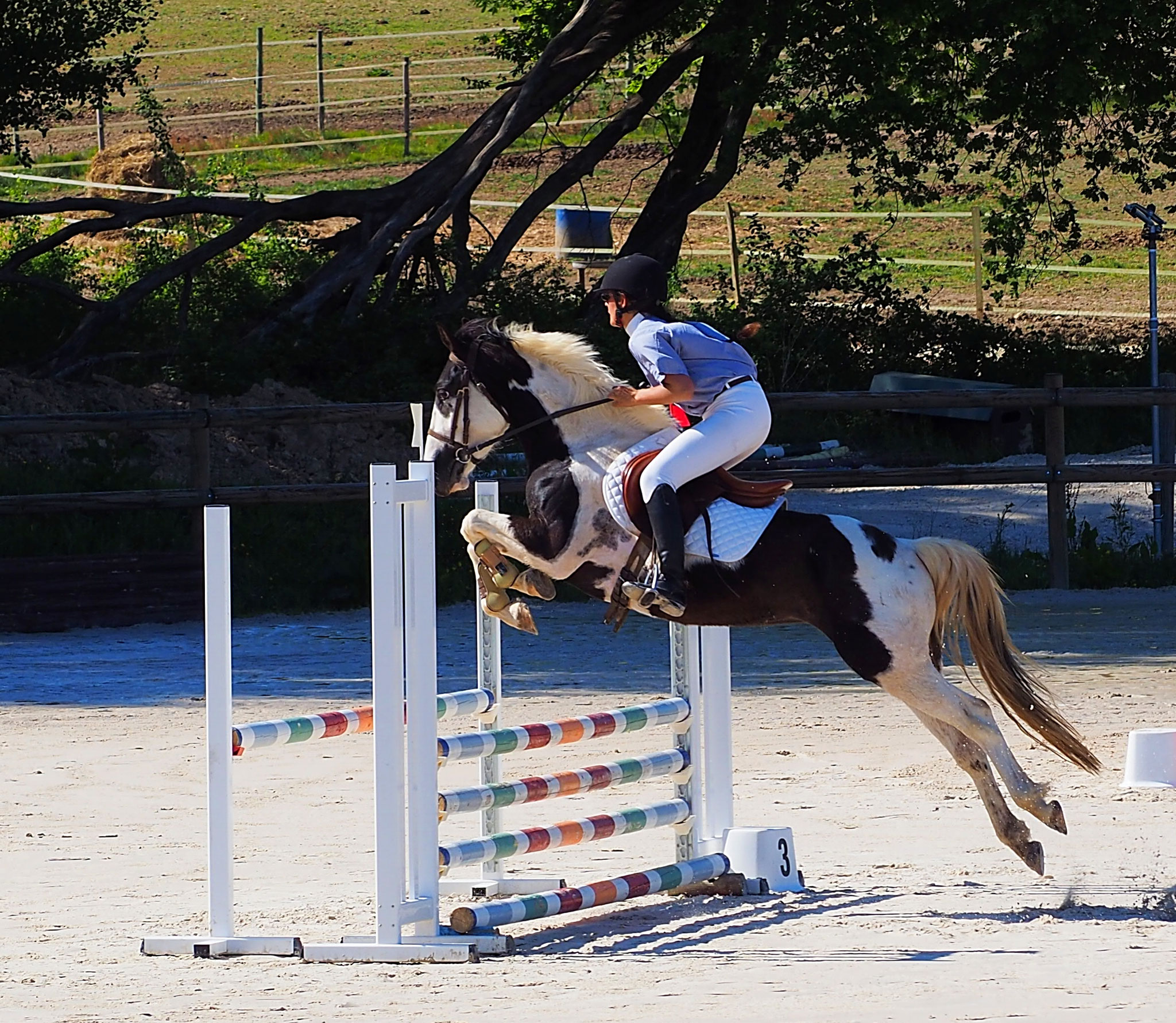 Aurélie et Dream en épreuve jeunes chevaux
